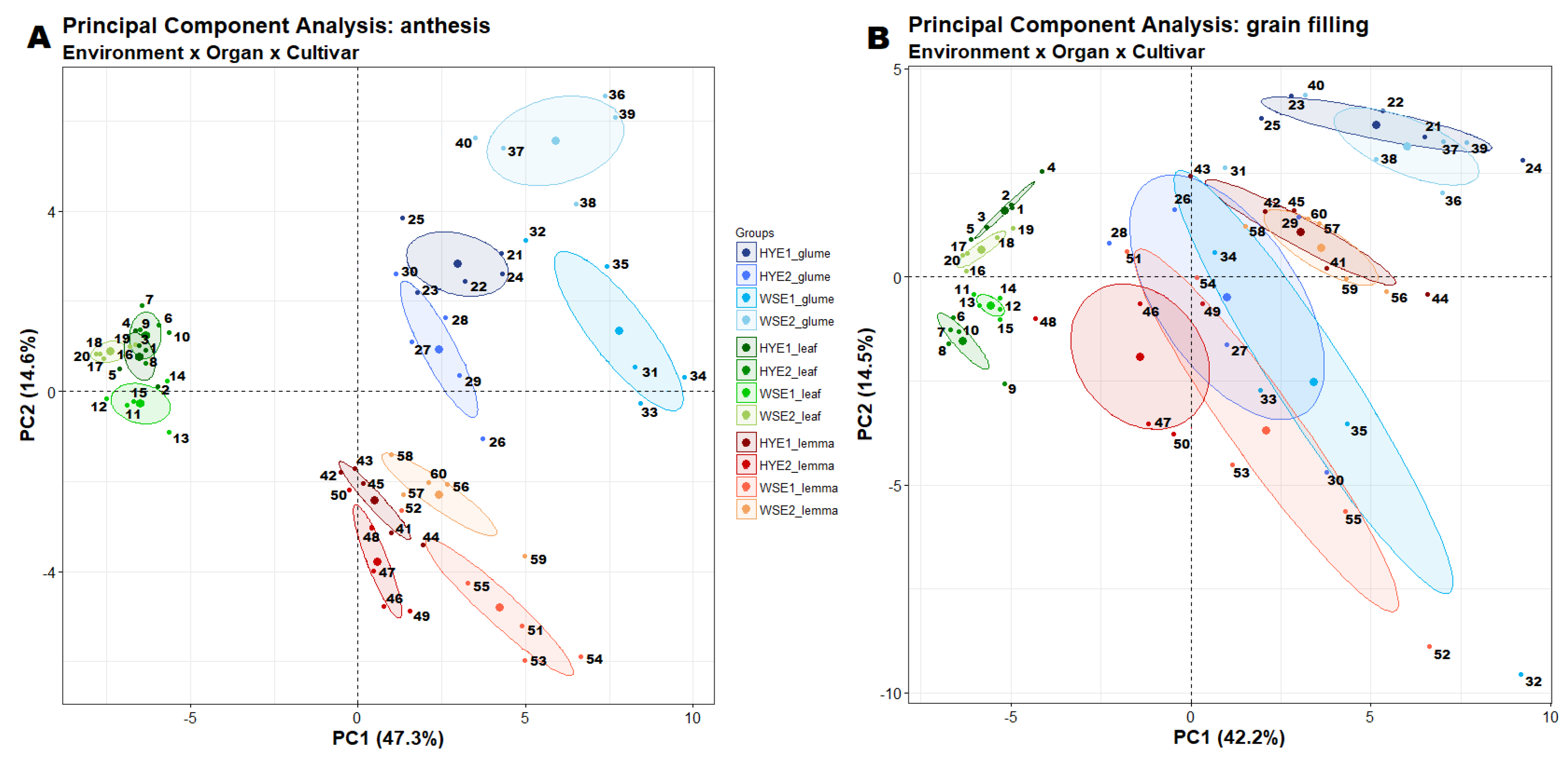 Cells 09 01025 g001 Cells 09 01025 g001
