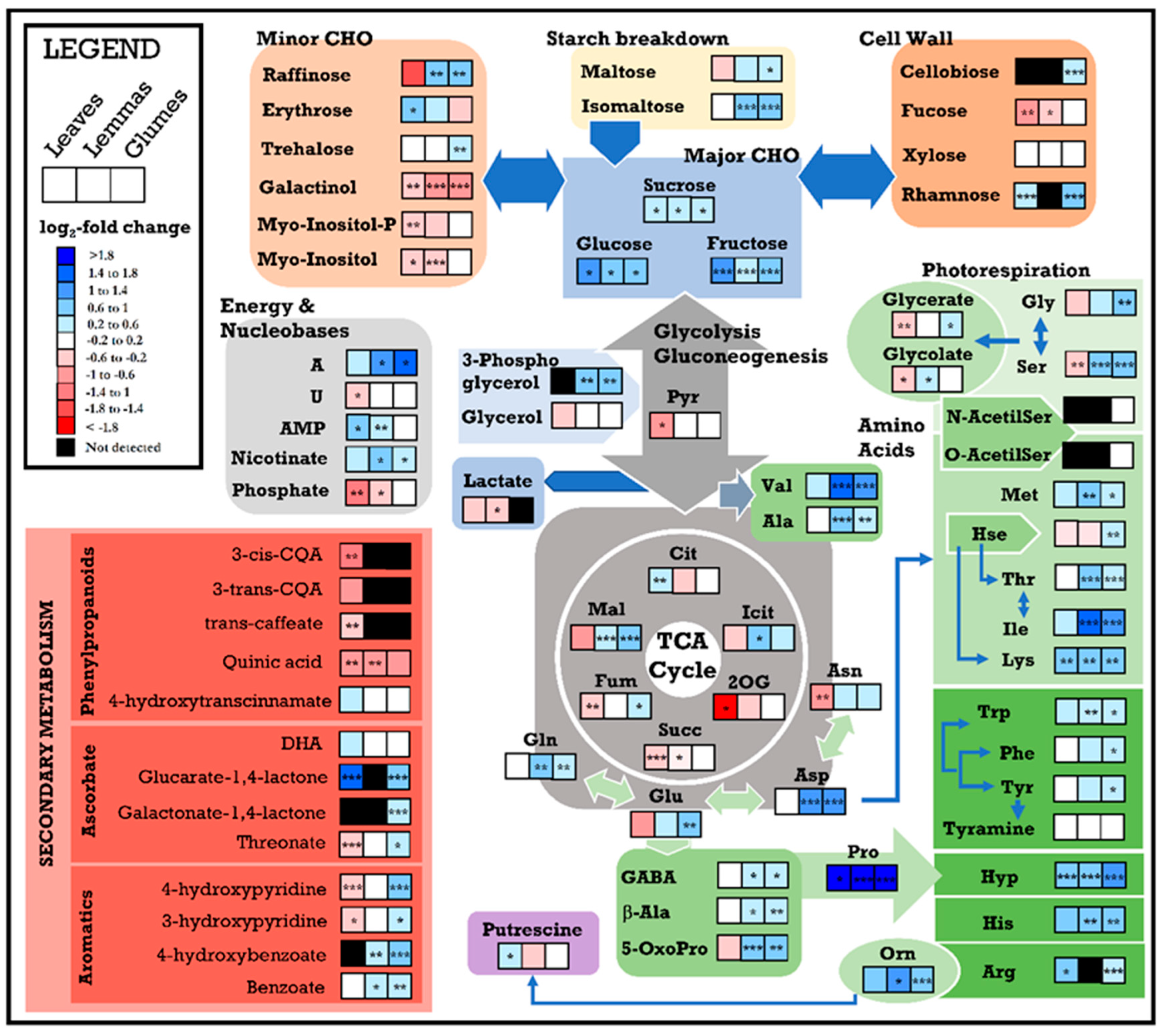 Cells 09 01025 g003 Cells 09 01025 g003