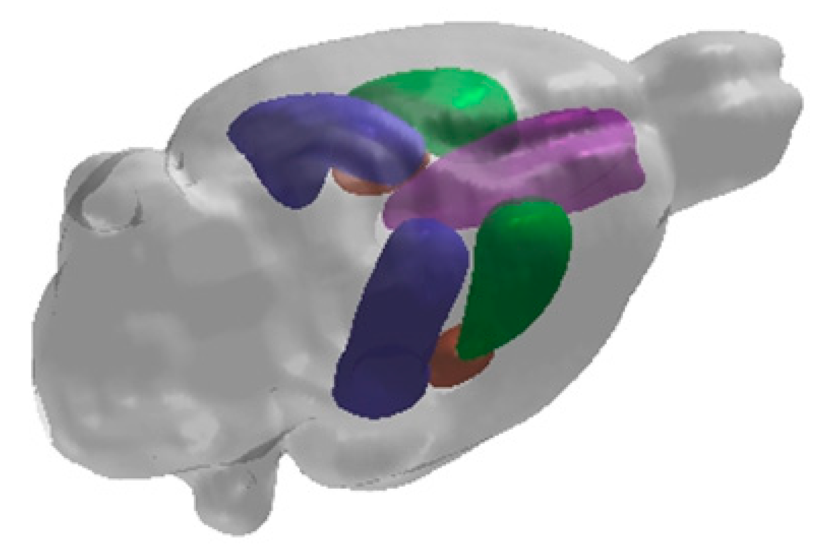 Cells 09 01026 g002 Cells 09 01026 g002