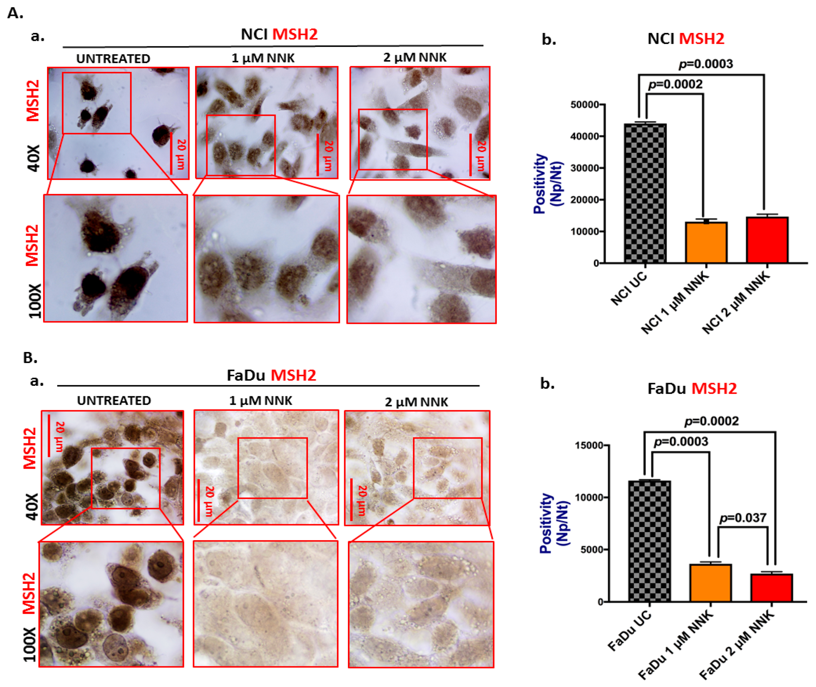Cells 09 01031 g001 Cells 09 01031 g001