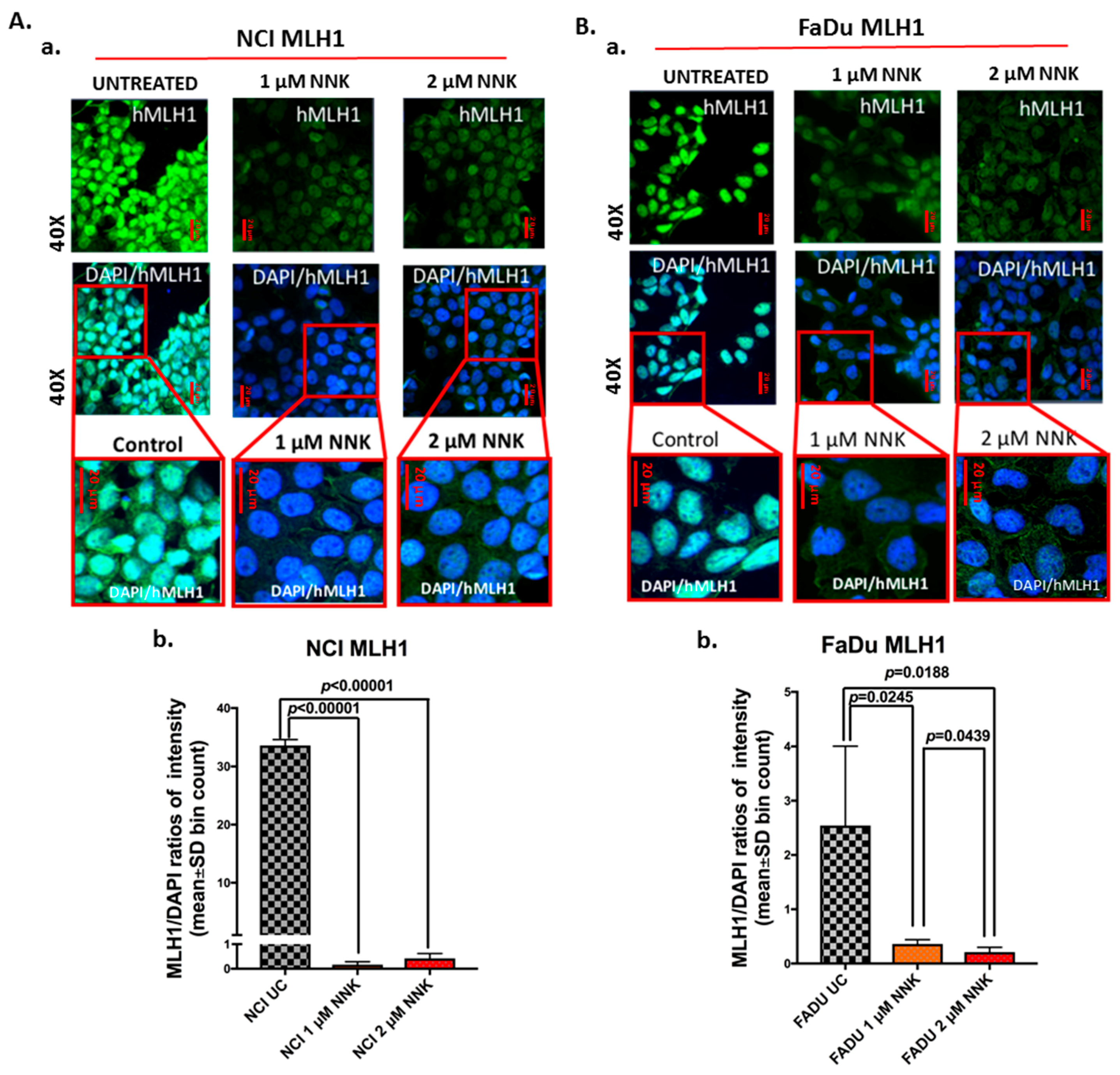Cells 09 01031 g002 Cells 09 01031 g002