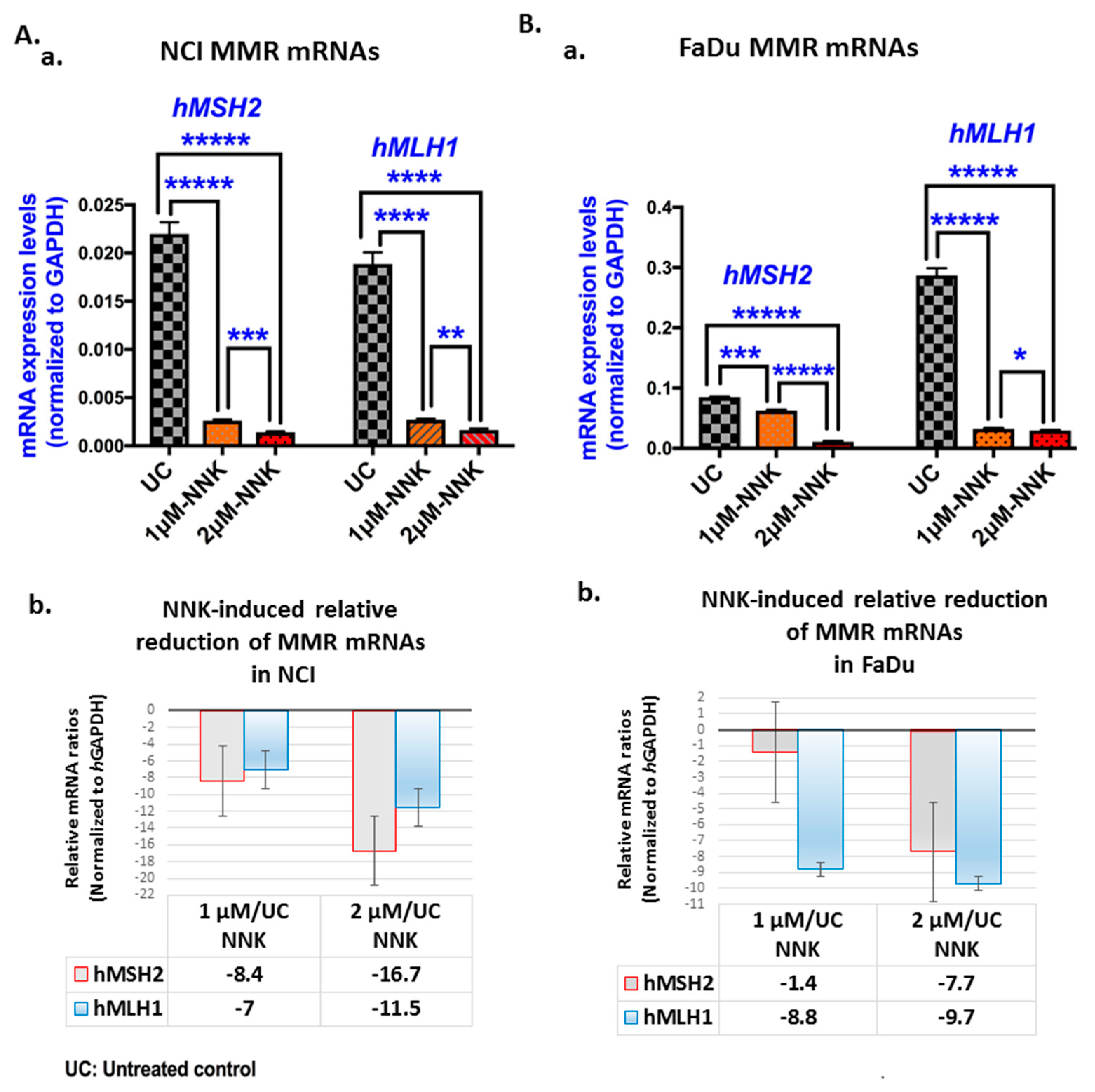 Cells 09 01031 g004 Cells 09 01031 g004