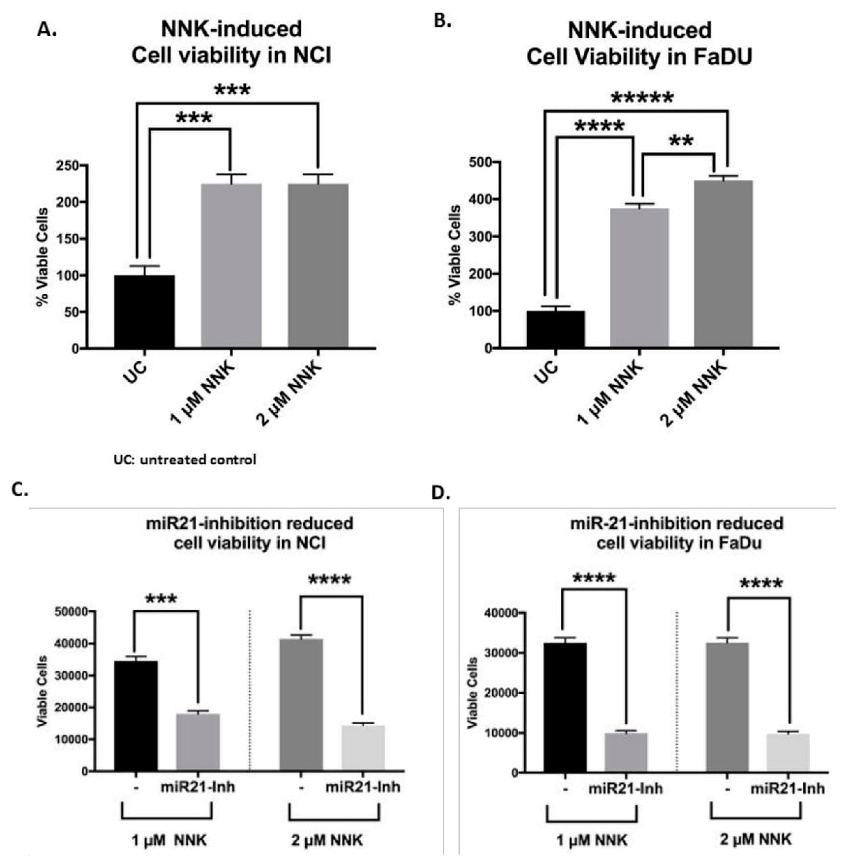 Cells 09 01031 g007 Cells 09 01031 g007