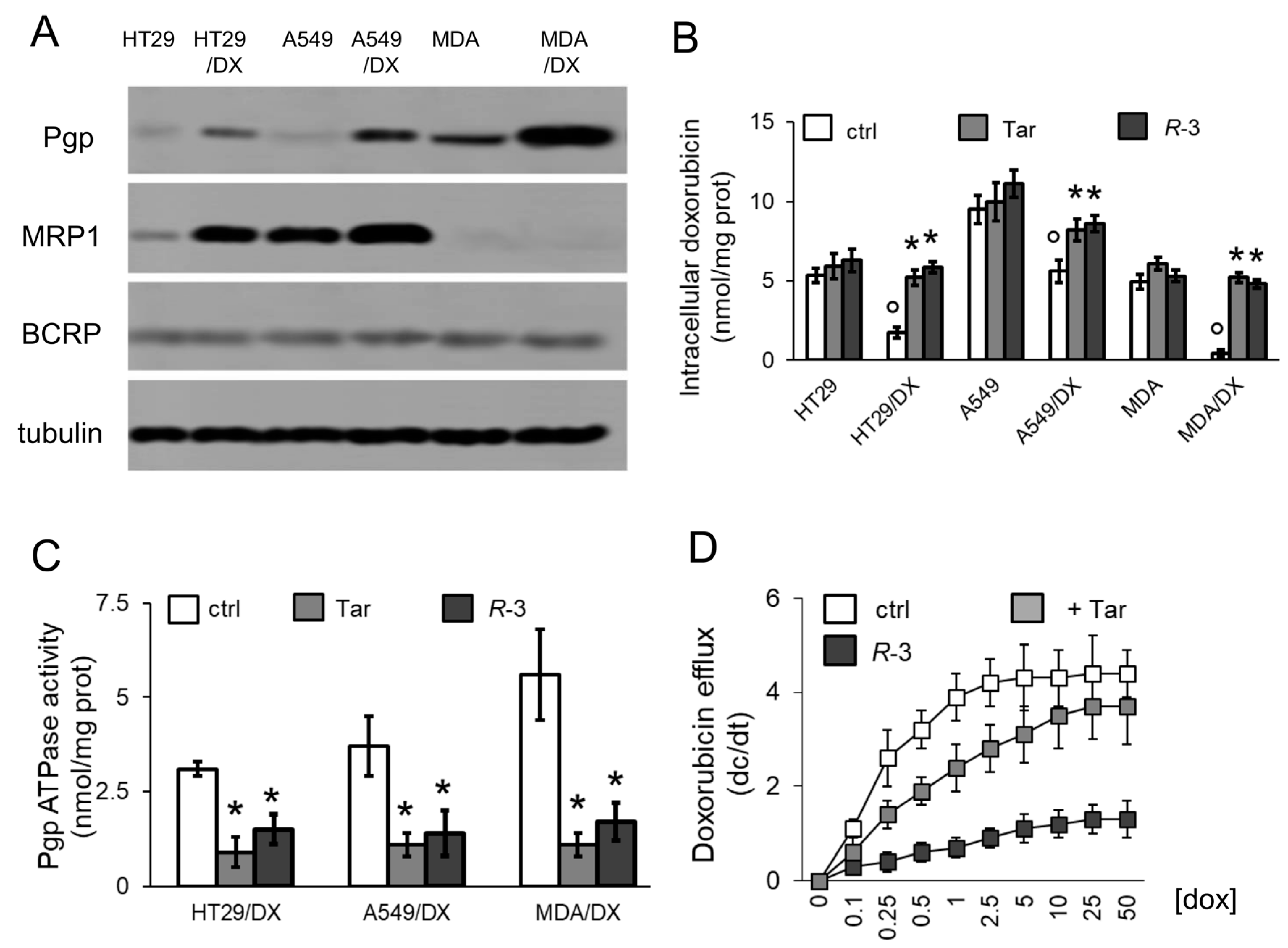 Cells 09 01033 g001 Cells 09 01033 g001
