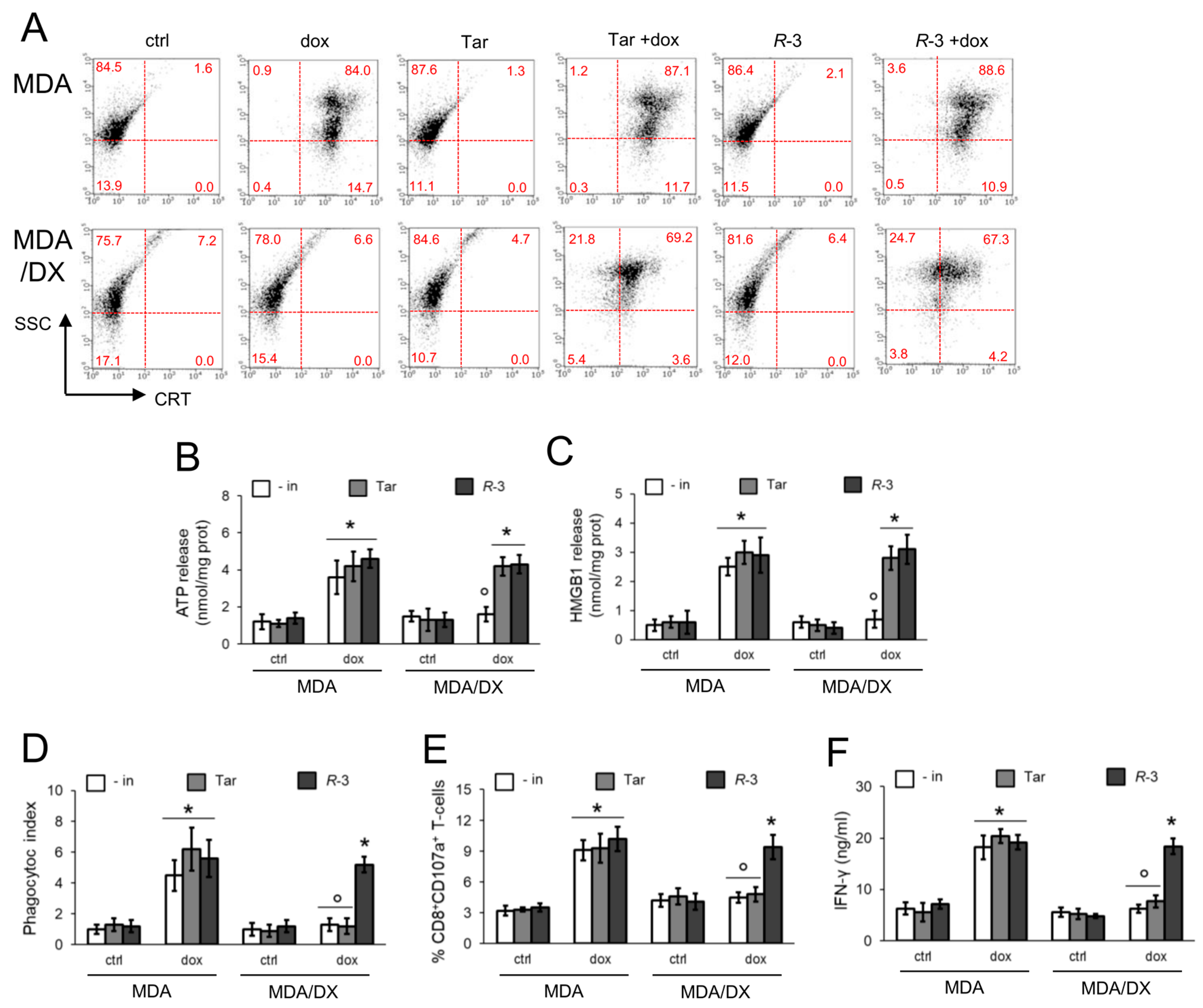Cells 09 01033 g003 Cells 09 01033 g003