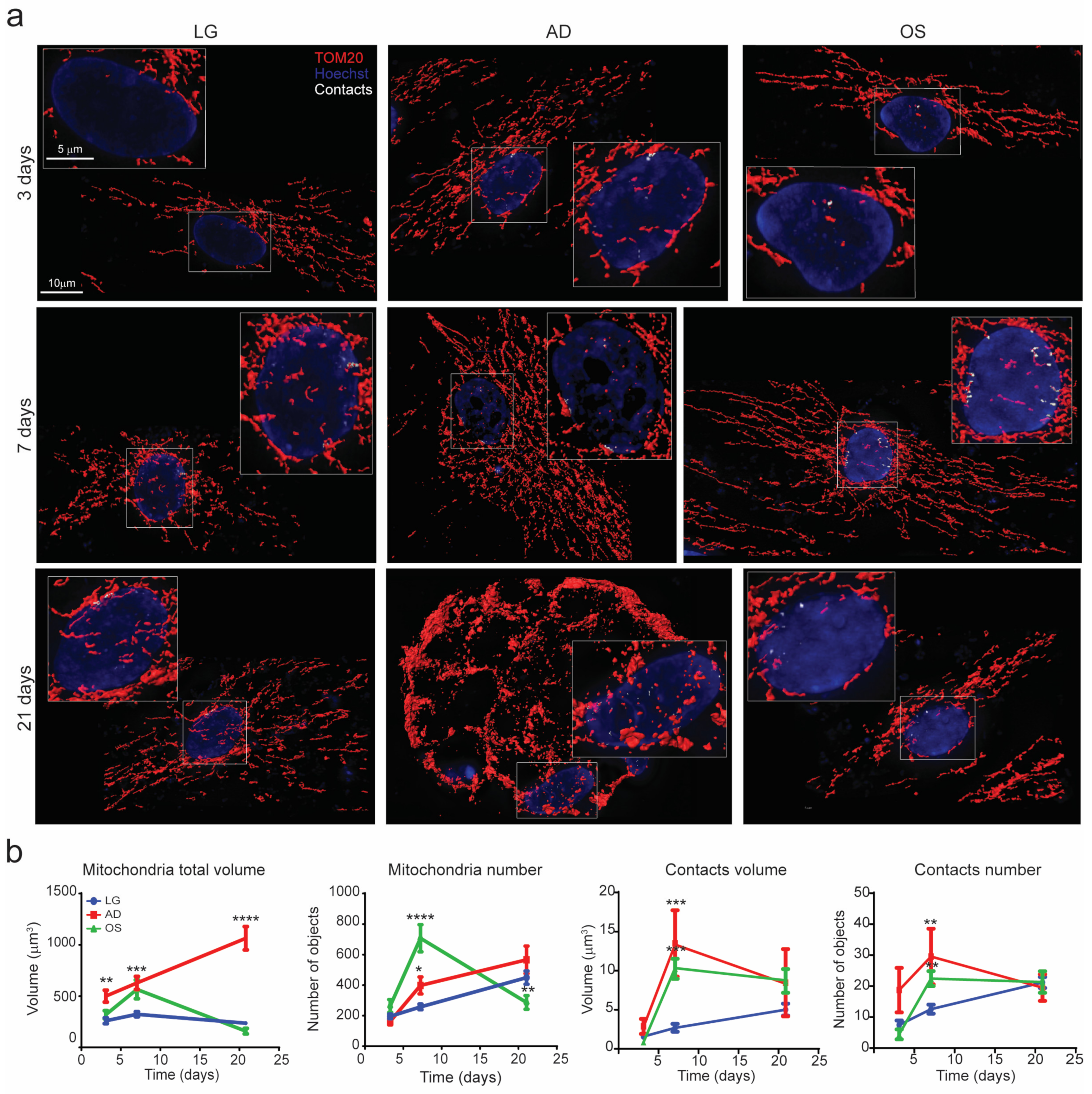 Cells 09 01034 g001 Cells 09 01034 g001