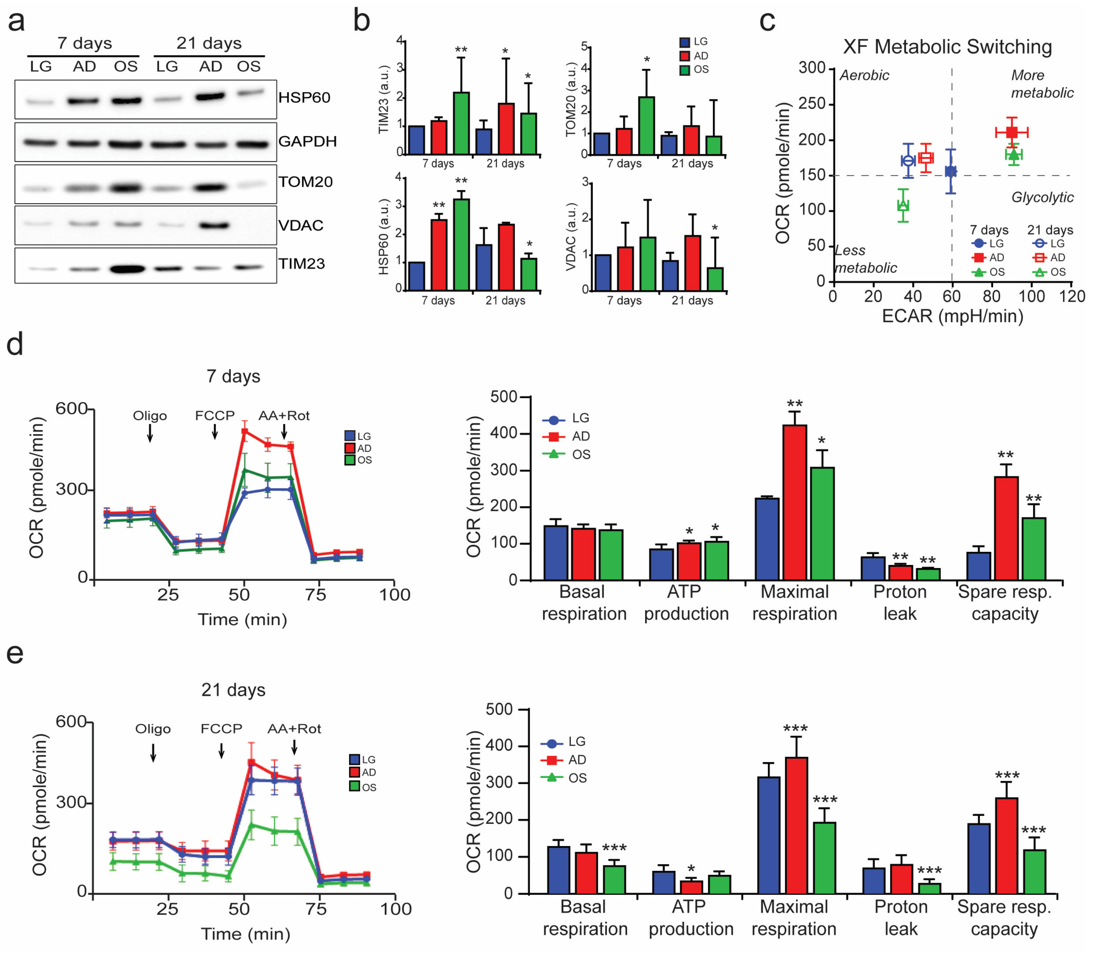 Cells 09 01034 g002 Cells 09 01034 g002