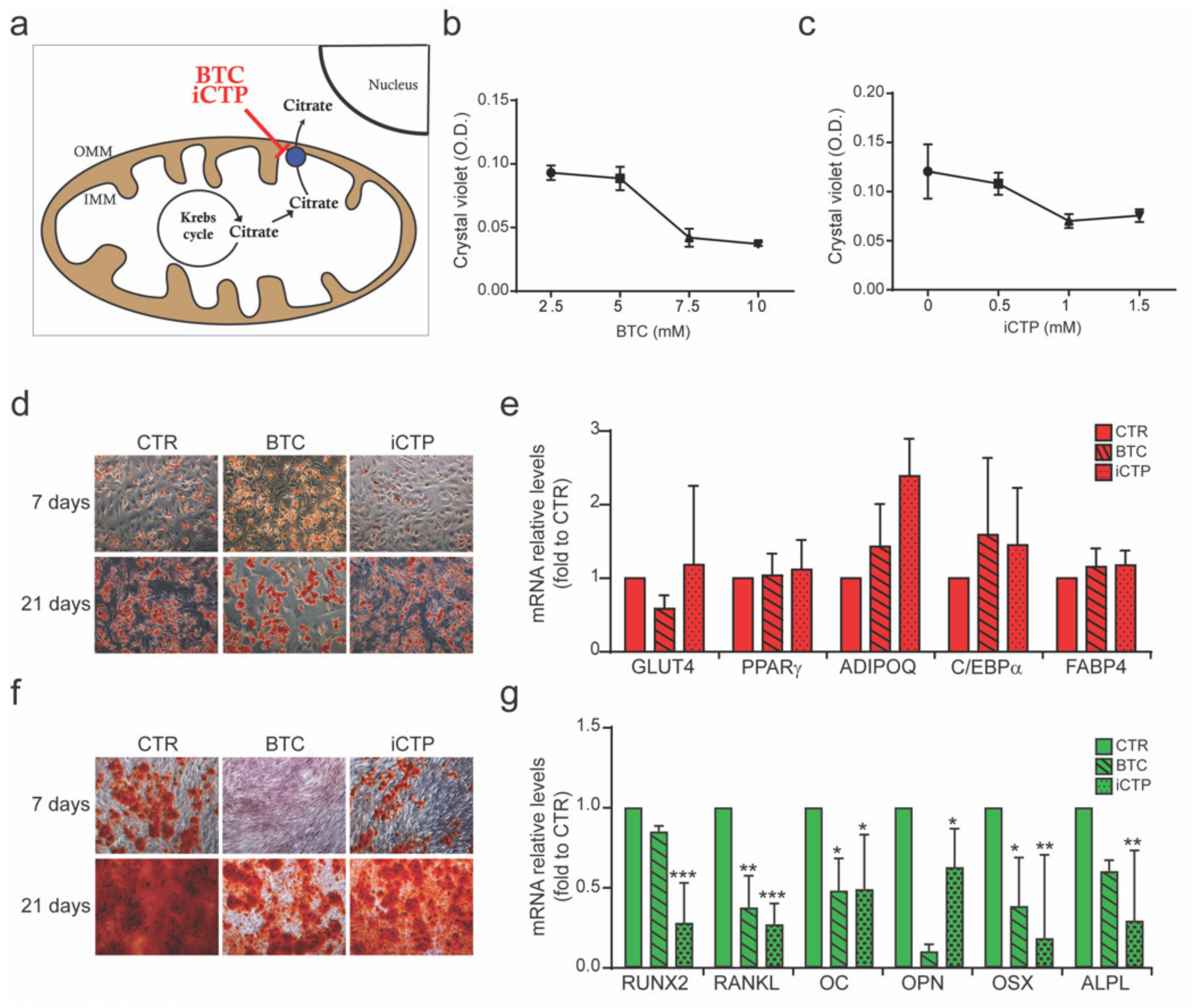 Cells 09 01034 g003 Cells 09 01034 g003