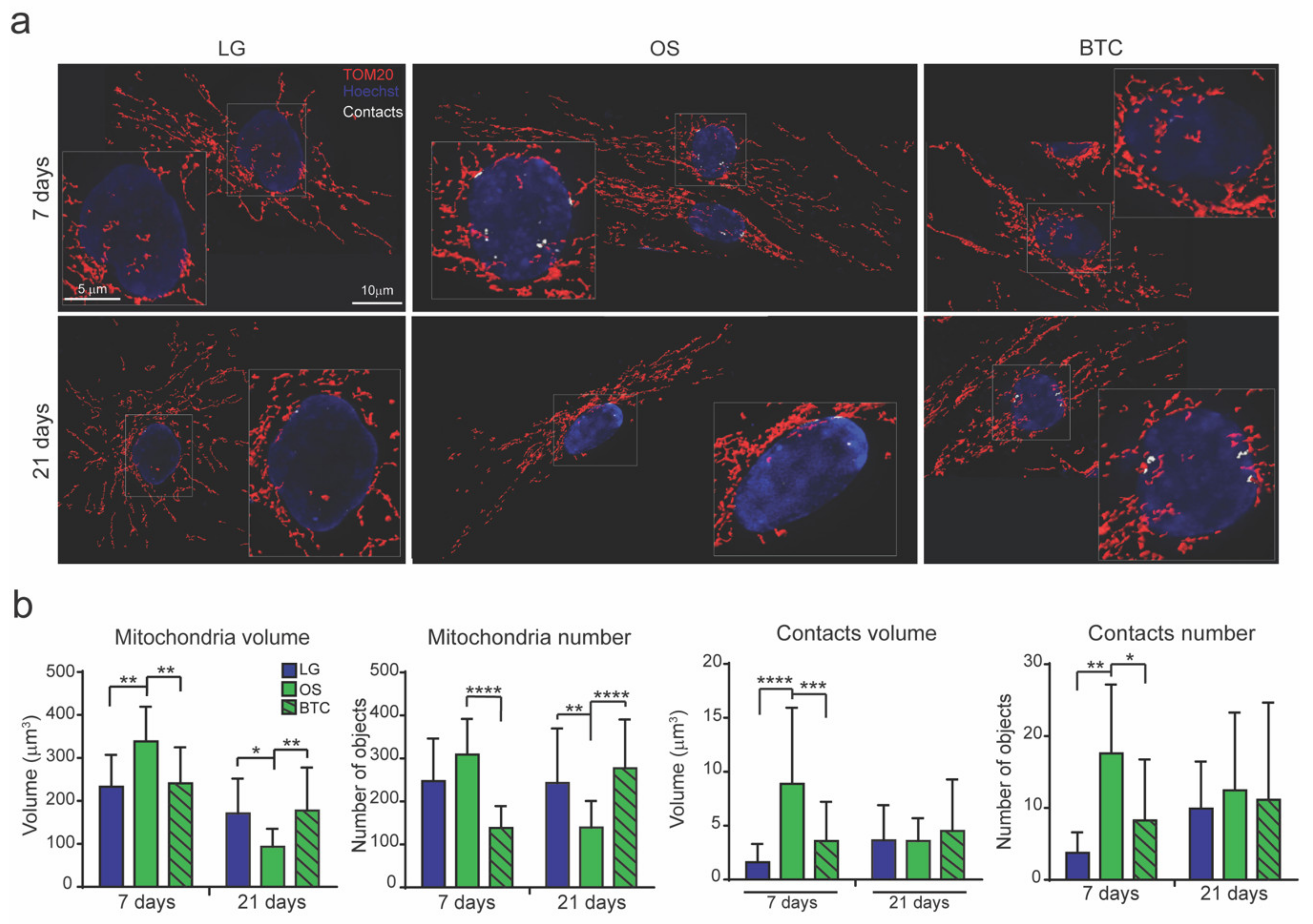 Cells 09 01034 g004 Cells 09 01034 g004