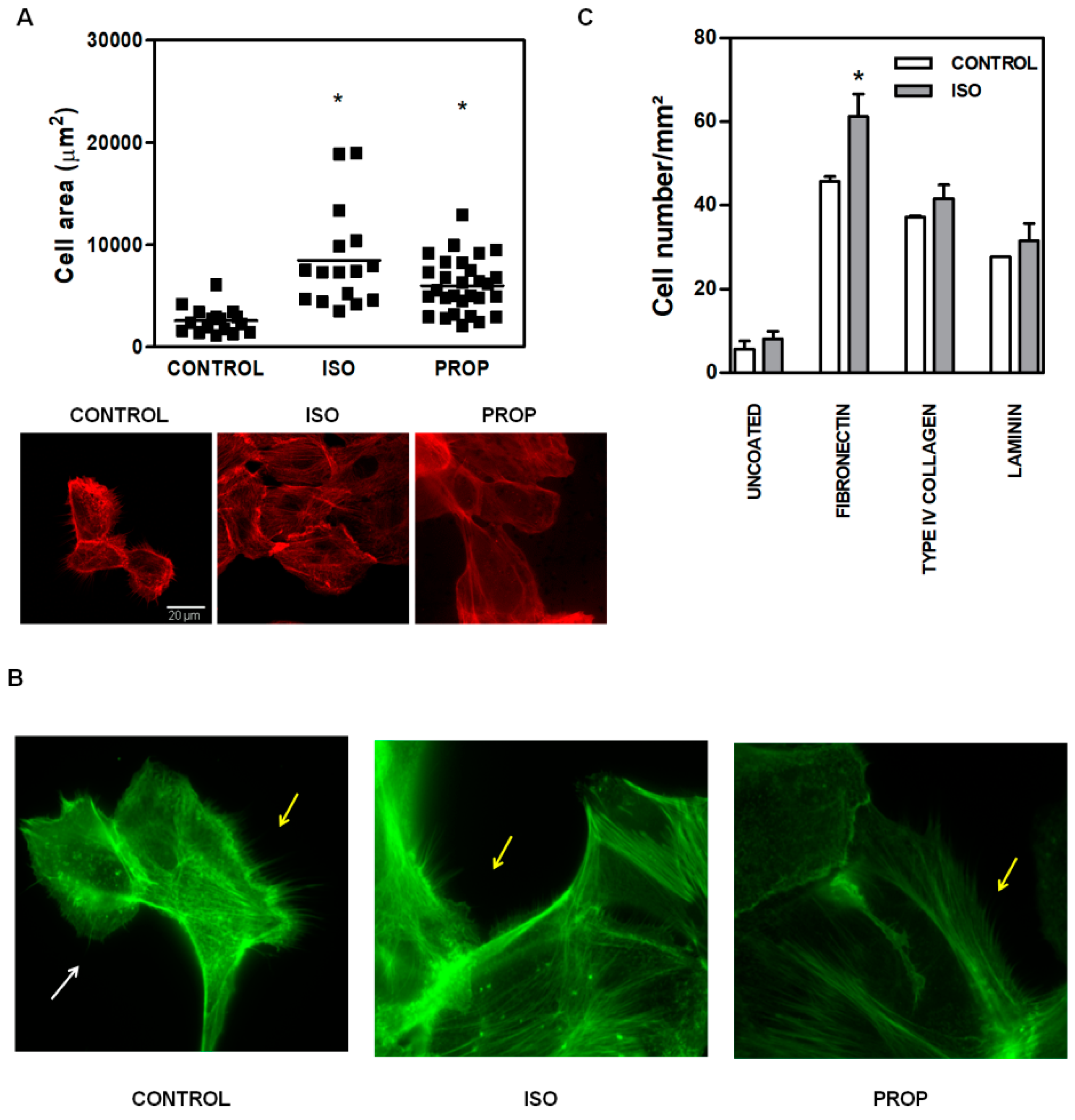 Cells 09 01036 g002 Cells 09 01036 g002