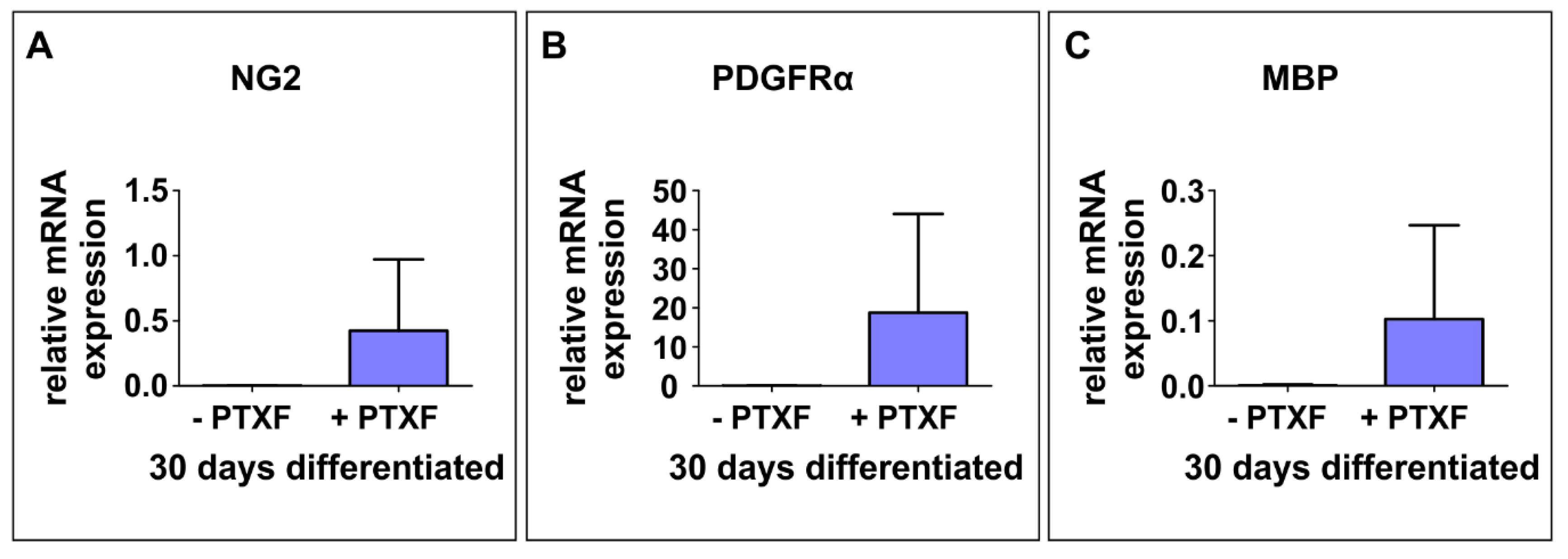 Cells 09 01037 g005 Cells 09 01037 g005