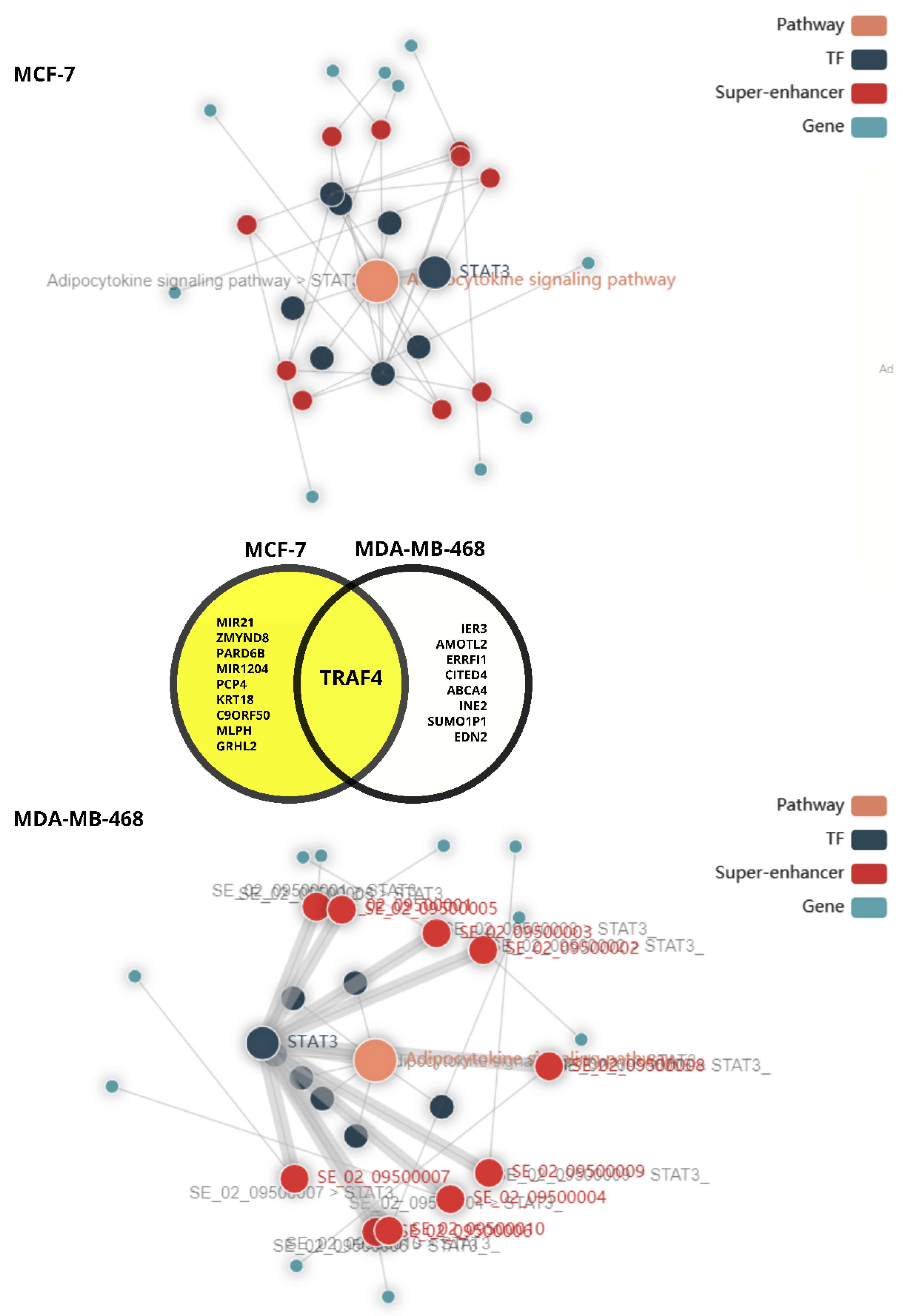 Cells 09 01043 g007 Cells 09 01043 g007