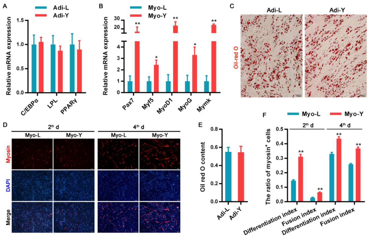 Cells 09 01045 g001 Cells 09 01045 g001