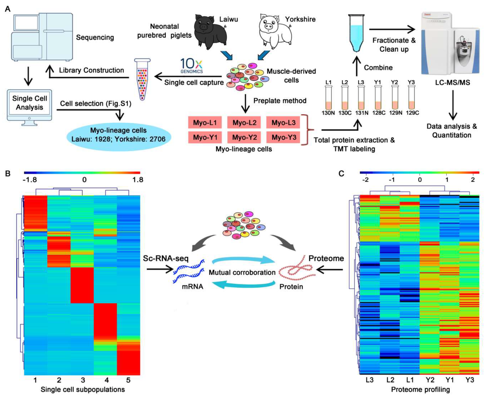 Cells 09 01045 g002 Cells 09 01045 g002