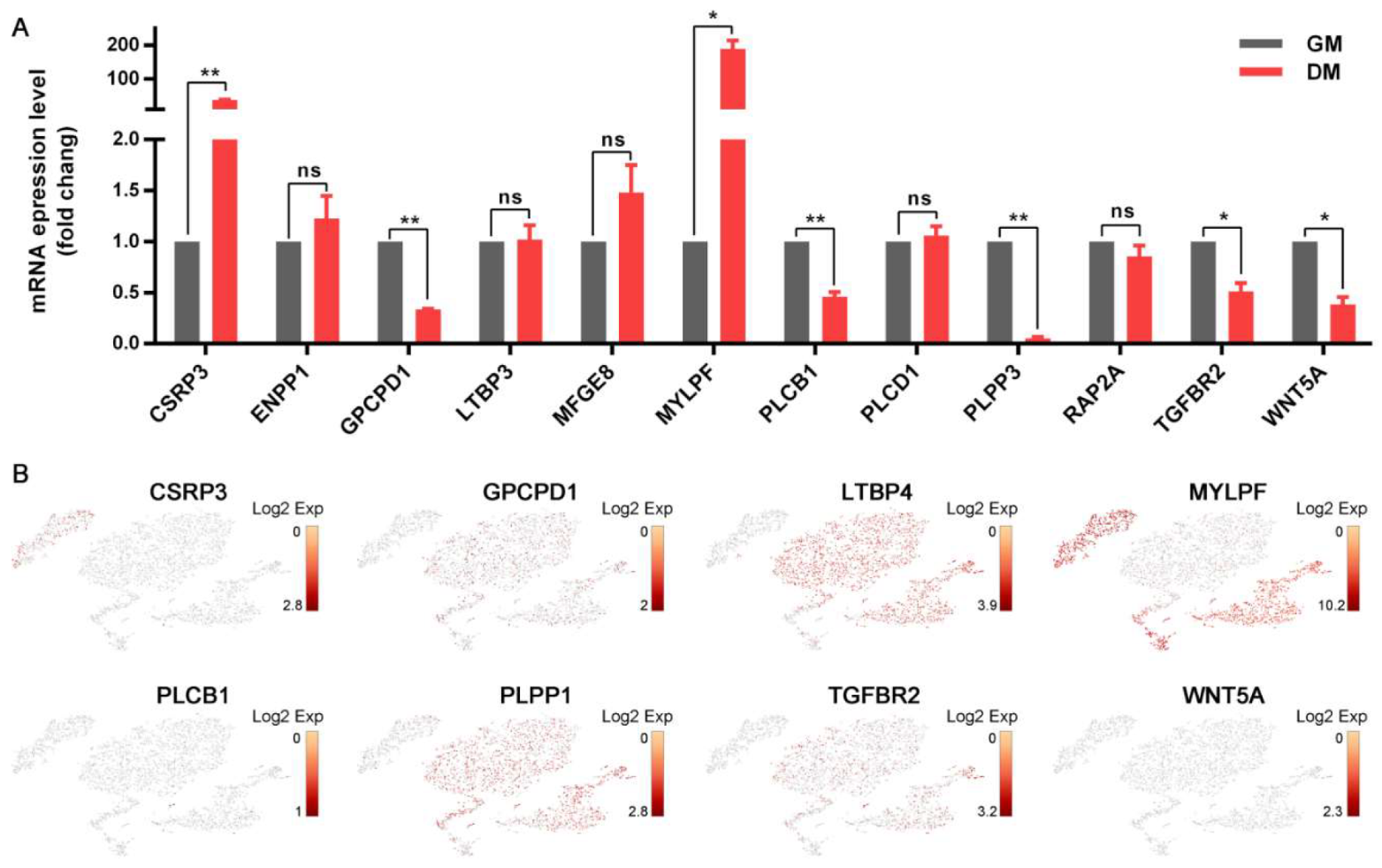 Cells 09 01045 g006 Cells 09 01045 g006