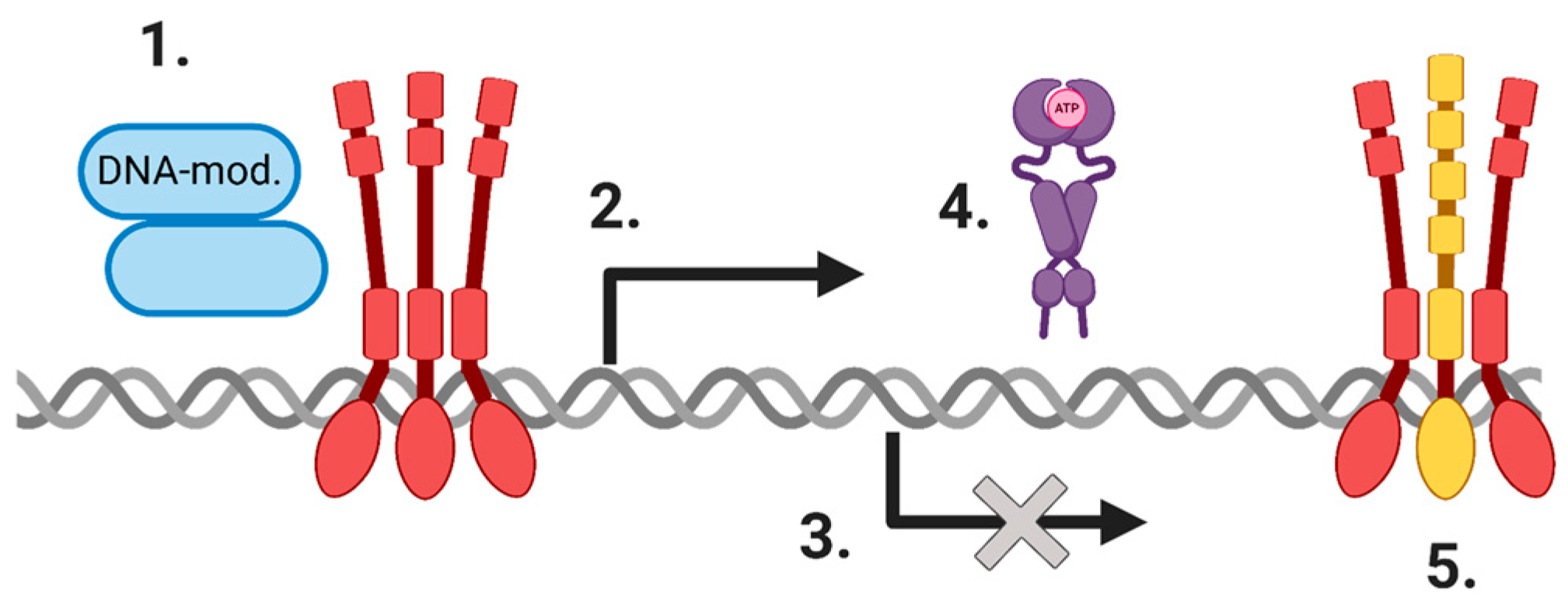 Cells 09 01046 g001 Cells 09 01046 g001