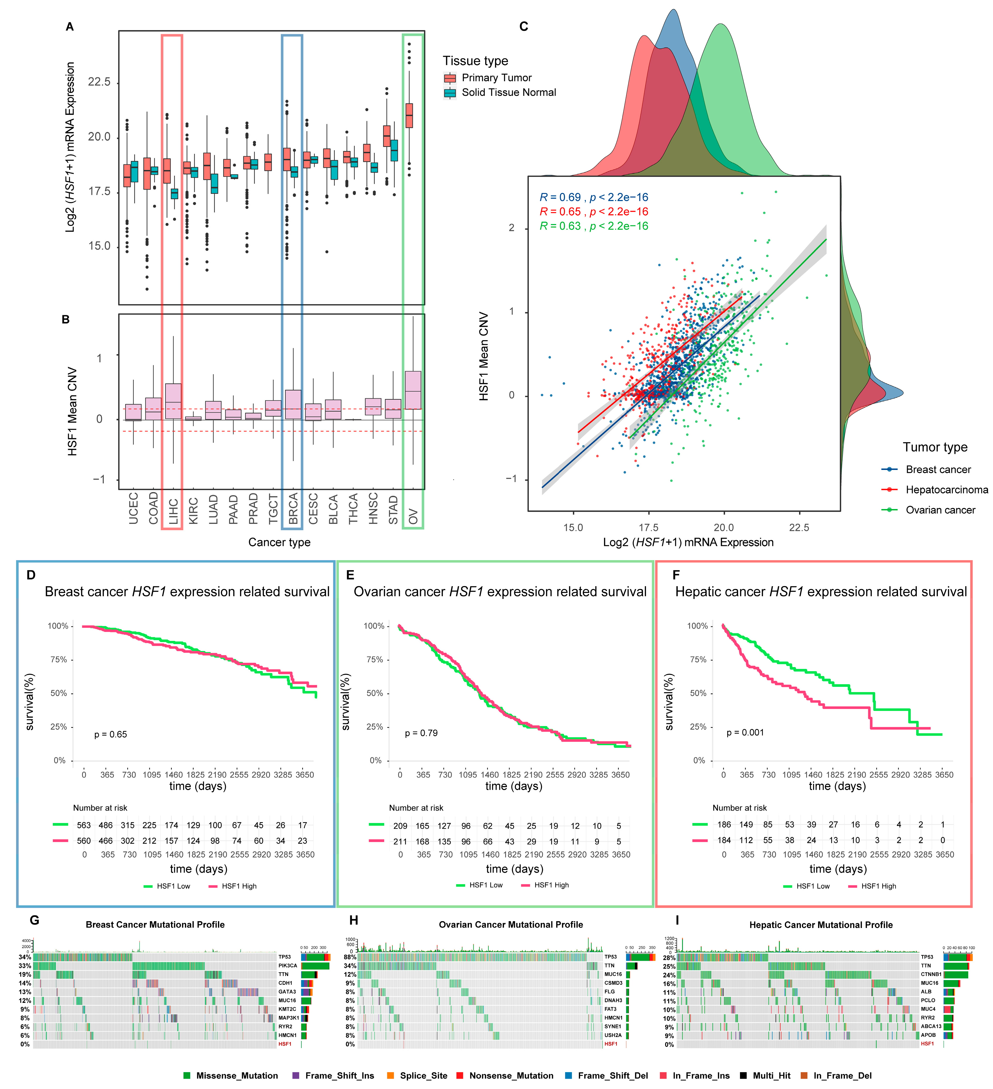 Cells 09 01046 g002 Cells 09 01046 g002
