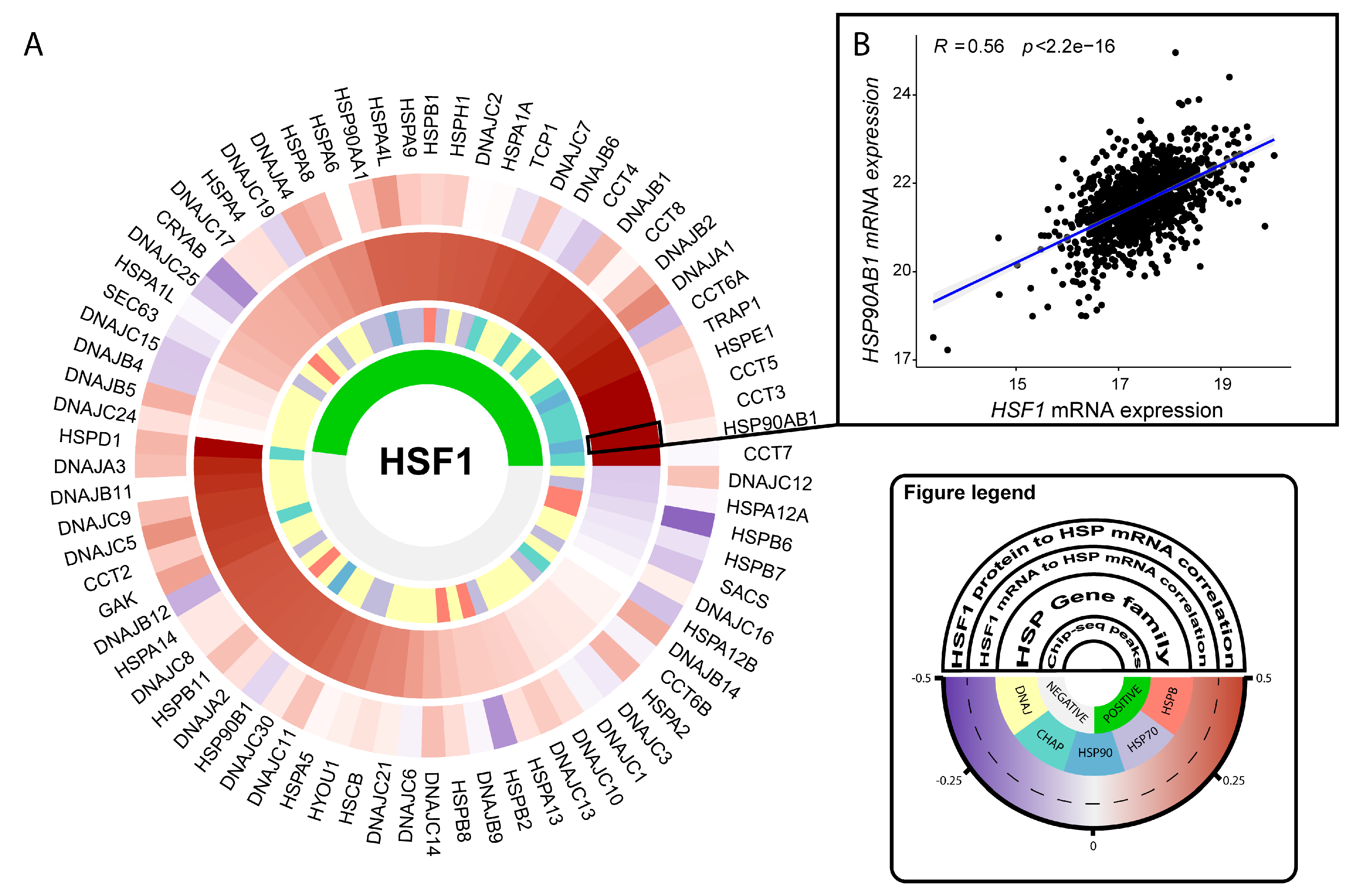 Cells 09 01046 g003 Cells 09 01046 g003