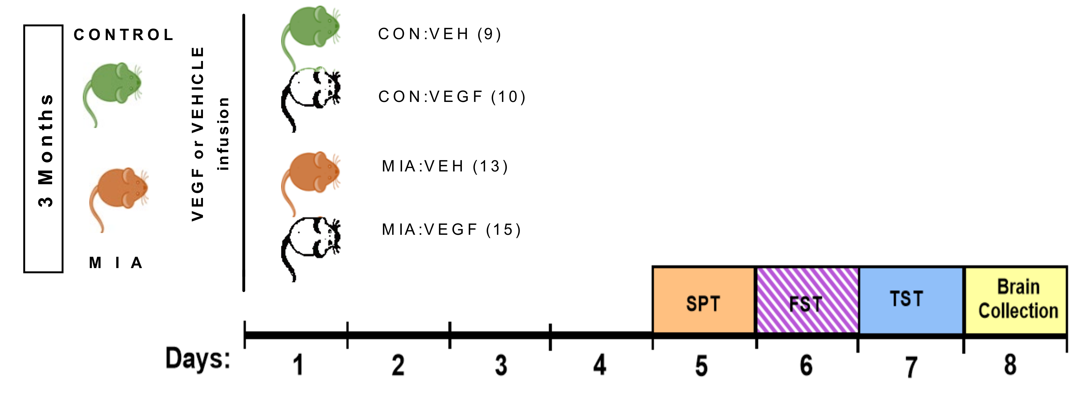 Cells 09 01048 g001 Cells 09 01048 g001