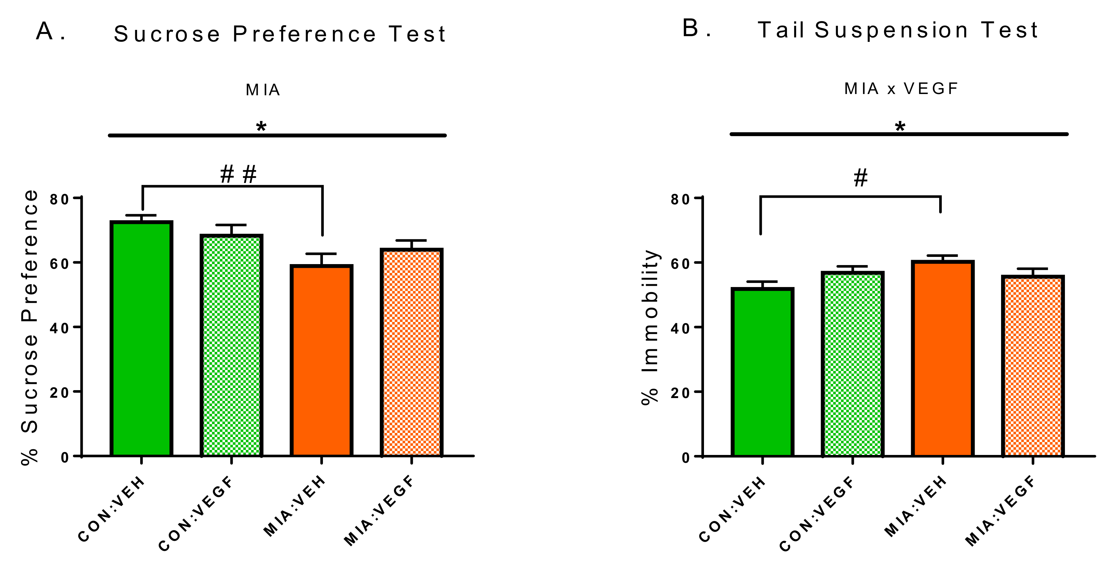 Cells 09 01048 g002 Cells 09 01048 g002