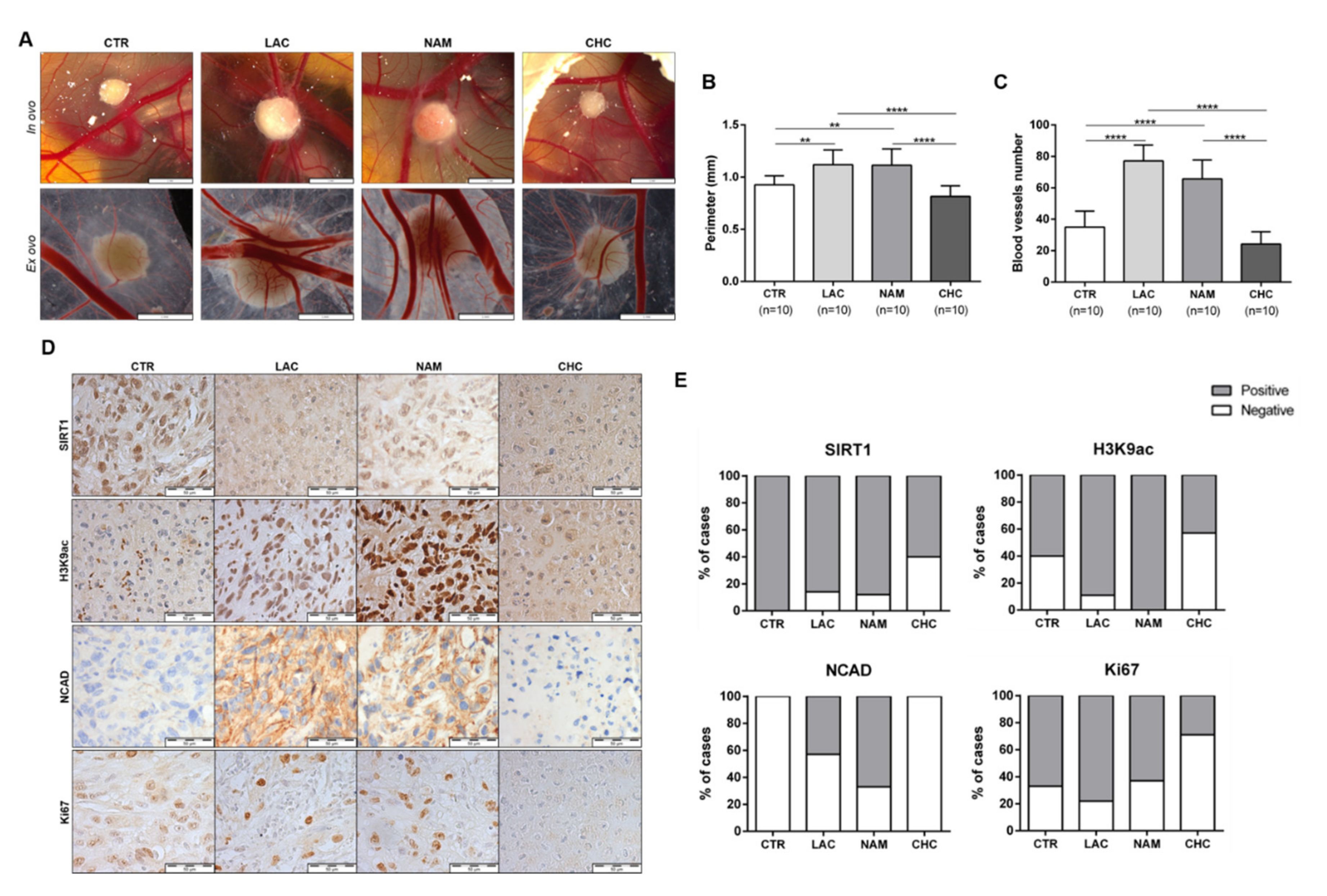 Cells 09 01053 g008 Cells 09 01053 g008