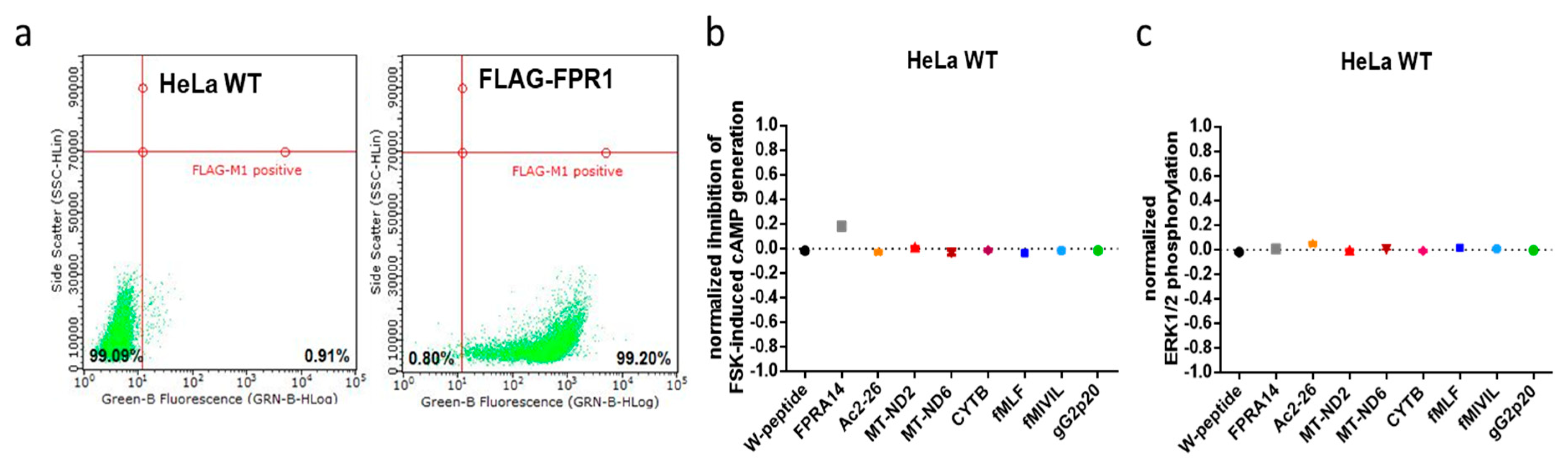 Cells 09 01054 g0a1 Cells 09 01054 g0a1