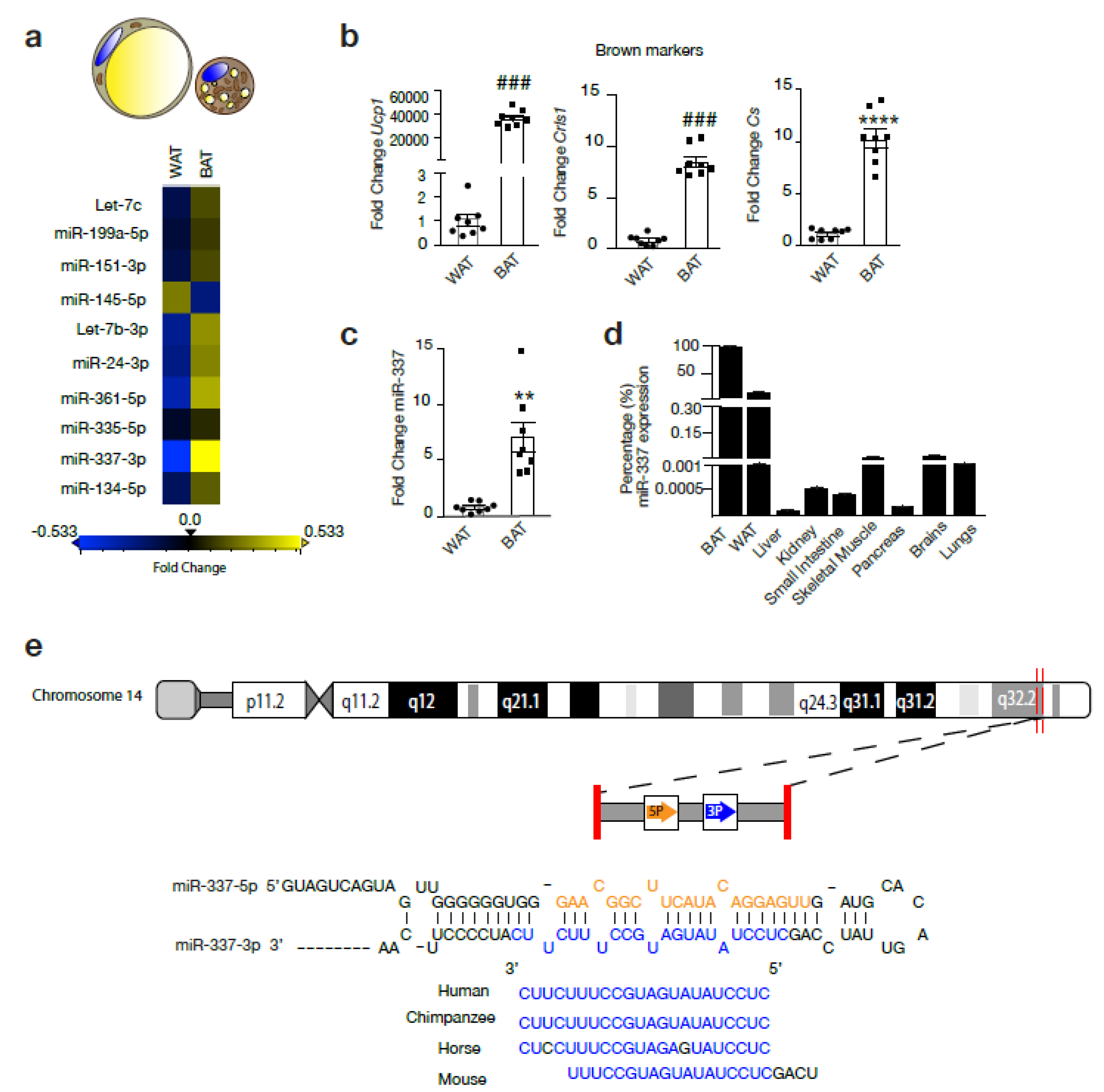 Cells 09 01056 g001 Cells 09 01056 g001