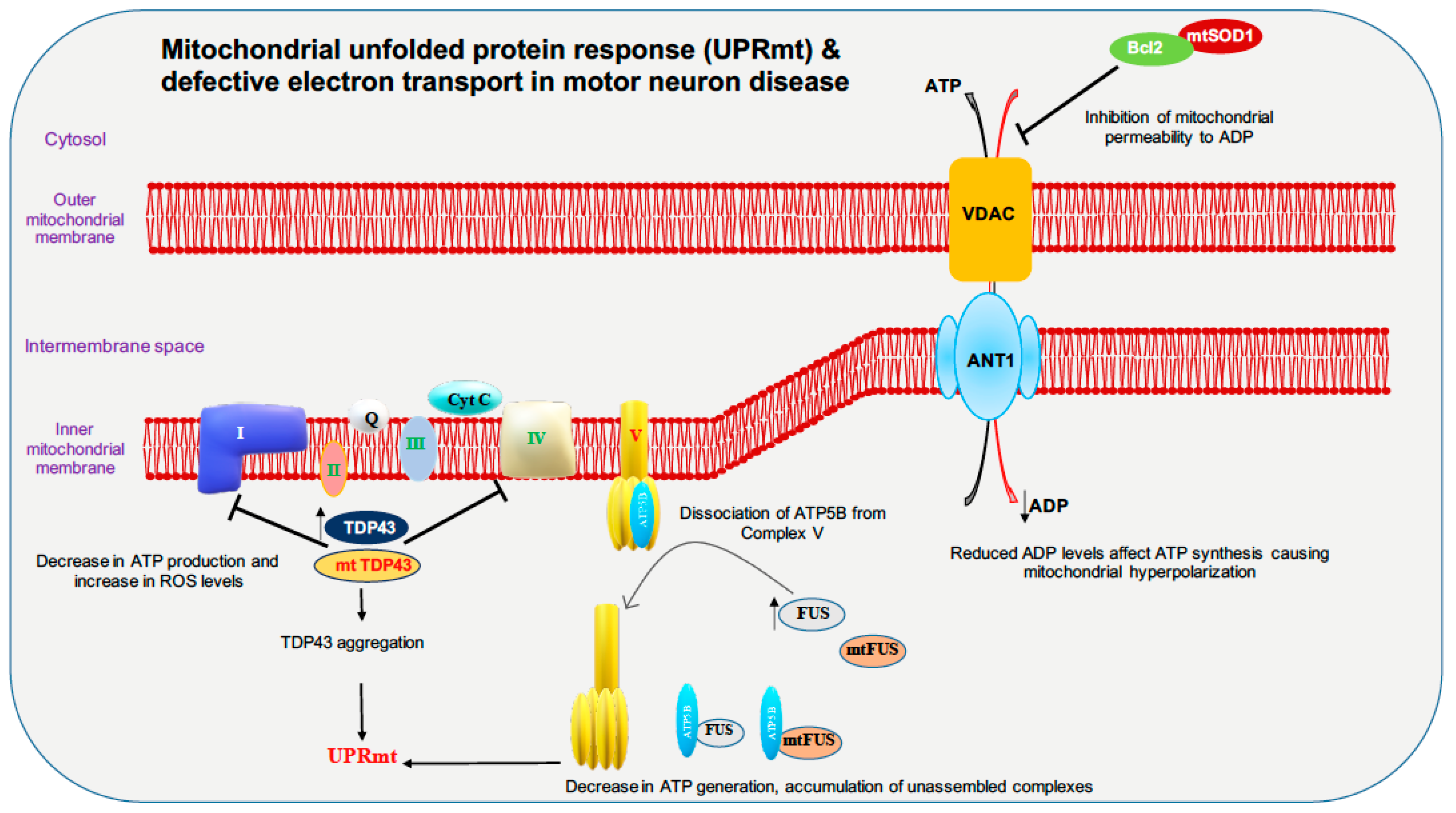 Cells 09 01065 g002 Cells 09 01065 g002