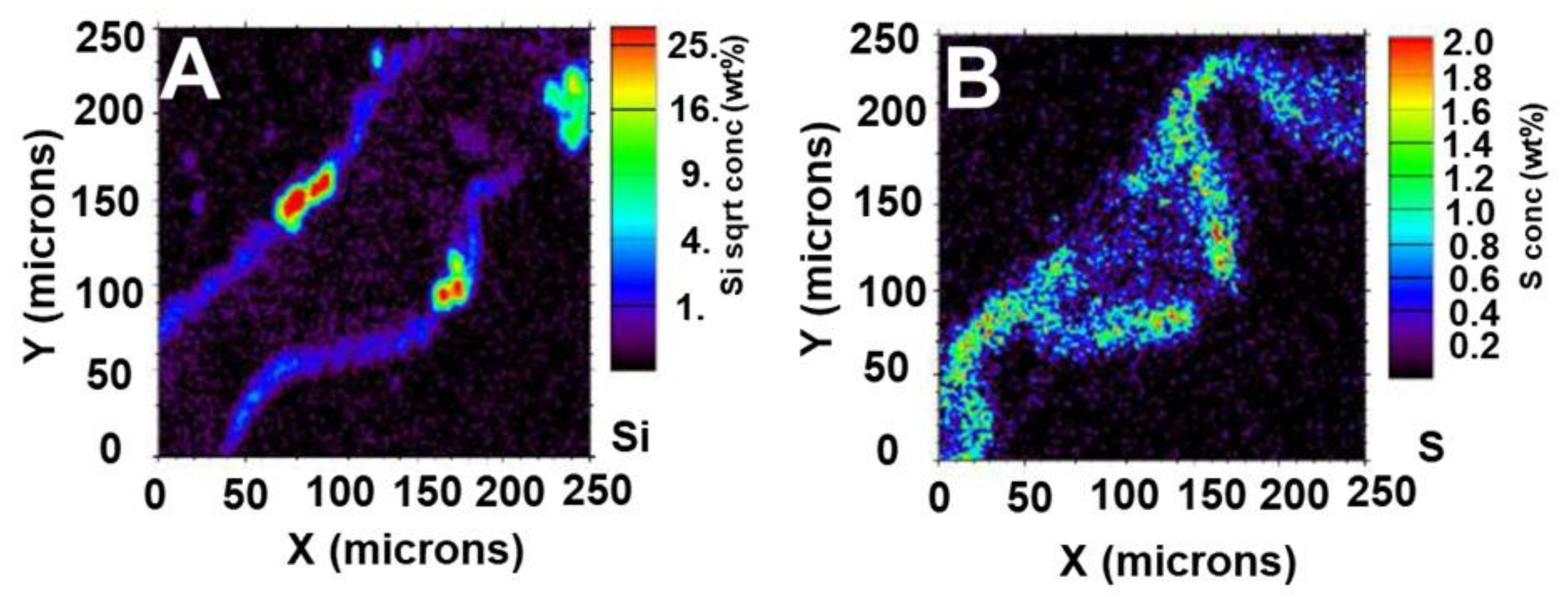 Cells 09 01066 g007 Cells 09 01066 g007