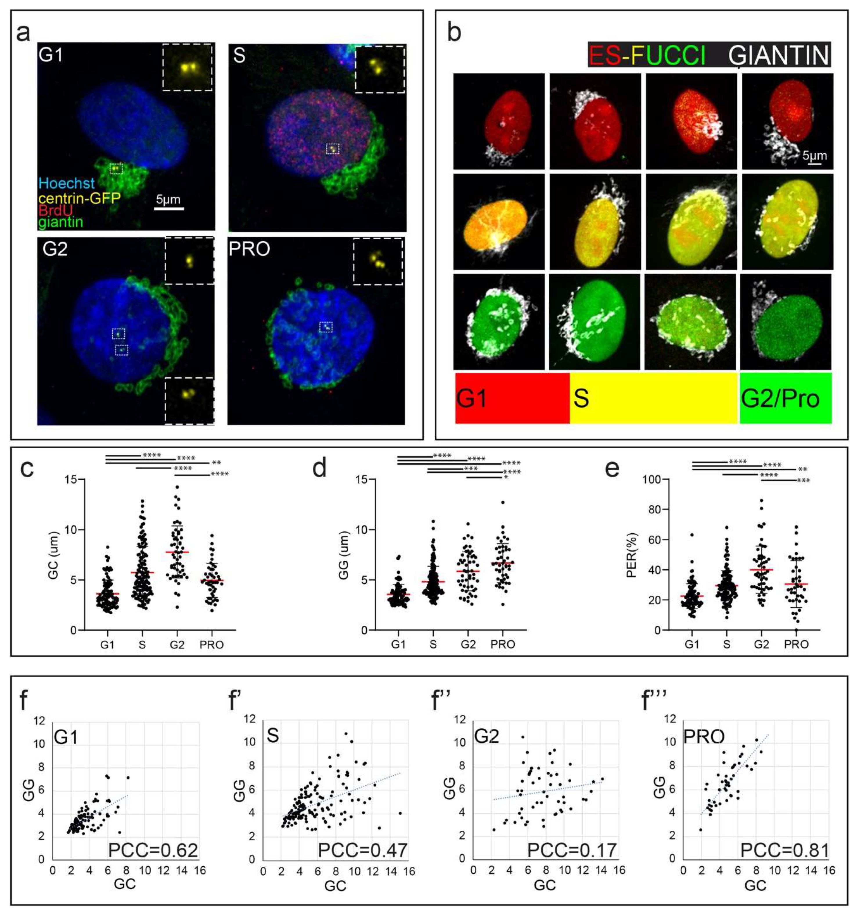 Cells 09 01069 g001 Cells 09 01069 g001