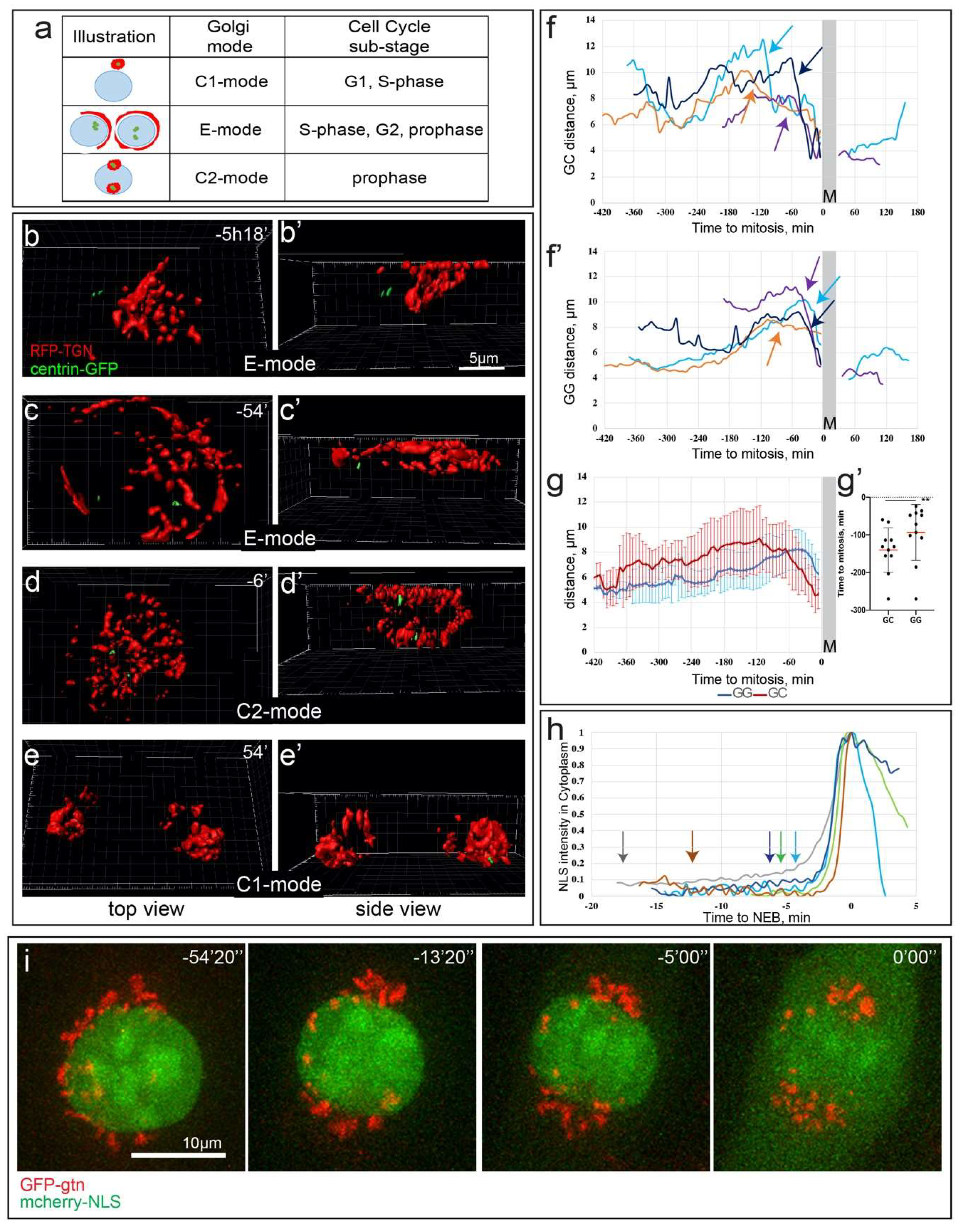 Cells 09 01069 g002 Cells 09 01069 g002