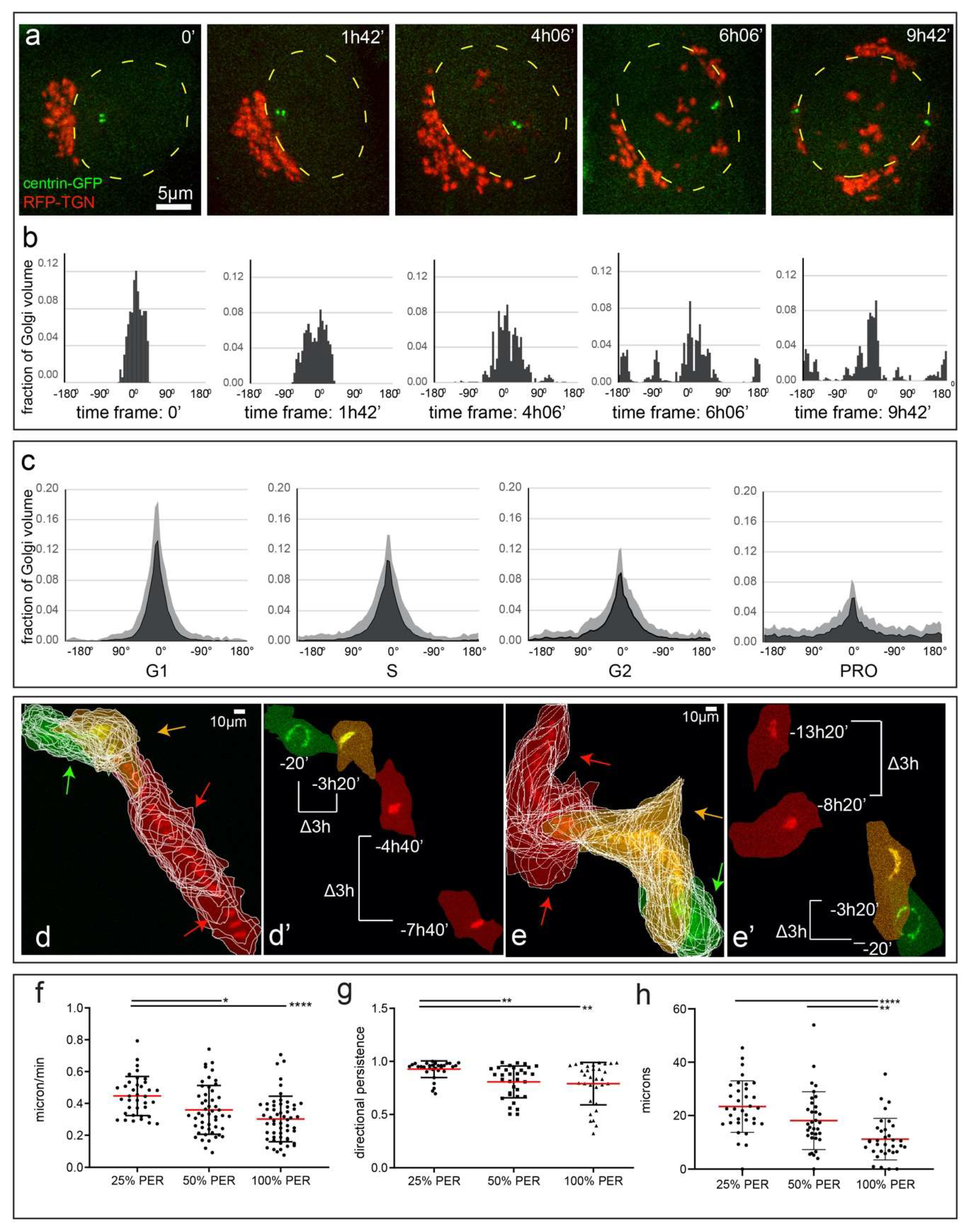 Cells 09 01069 g006 Cells 09 01069 g006