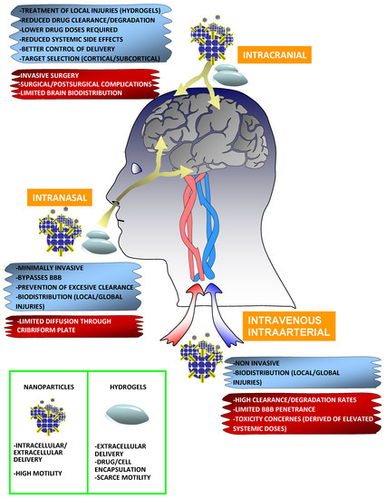 Cells | Free Full-Text | Biomaterials to Neuroprotect the Stroke 
