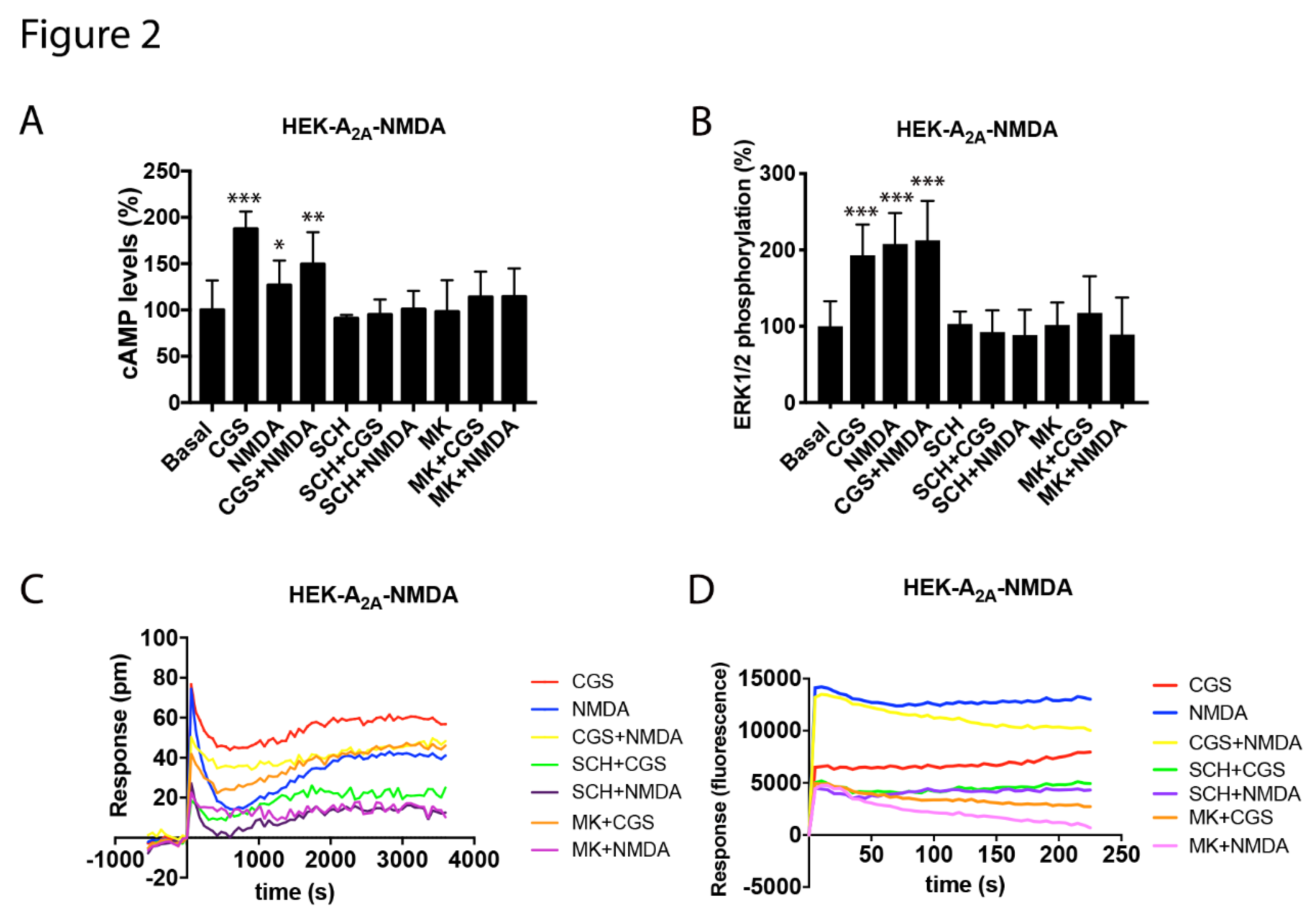 Cells 09 01075 g002 Cells 09 01075 g002