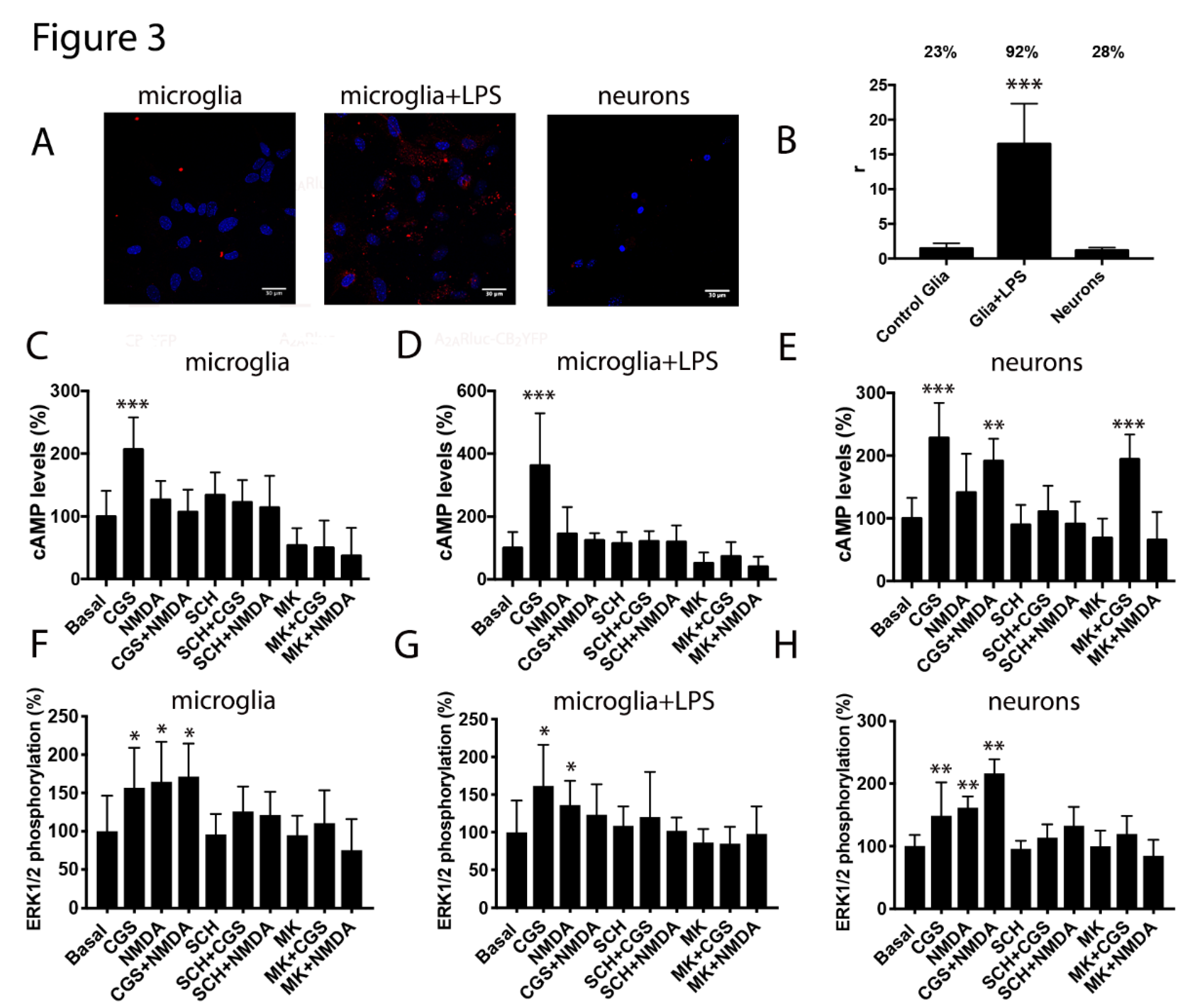 Cells 09 01075 g003 Cells 09 01075 g003