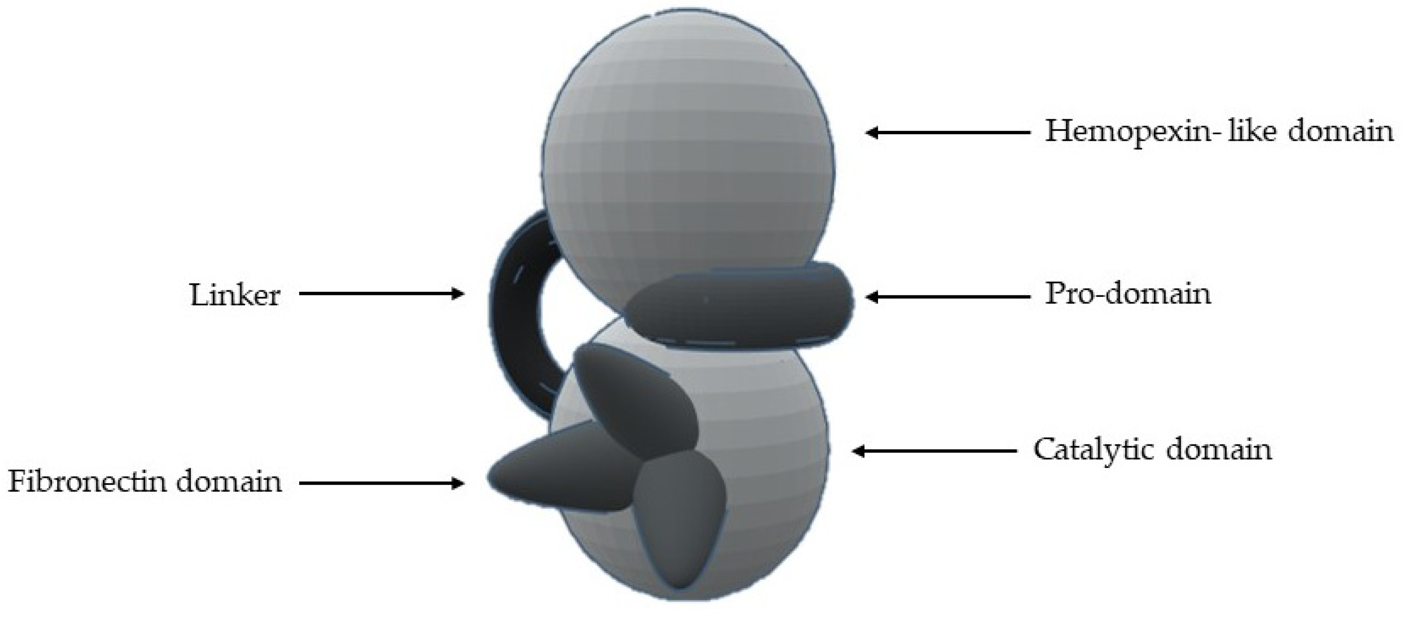 Cells 09 01076 g005 Cells 09 01076 g005