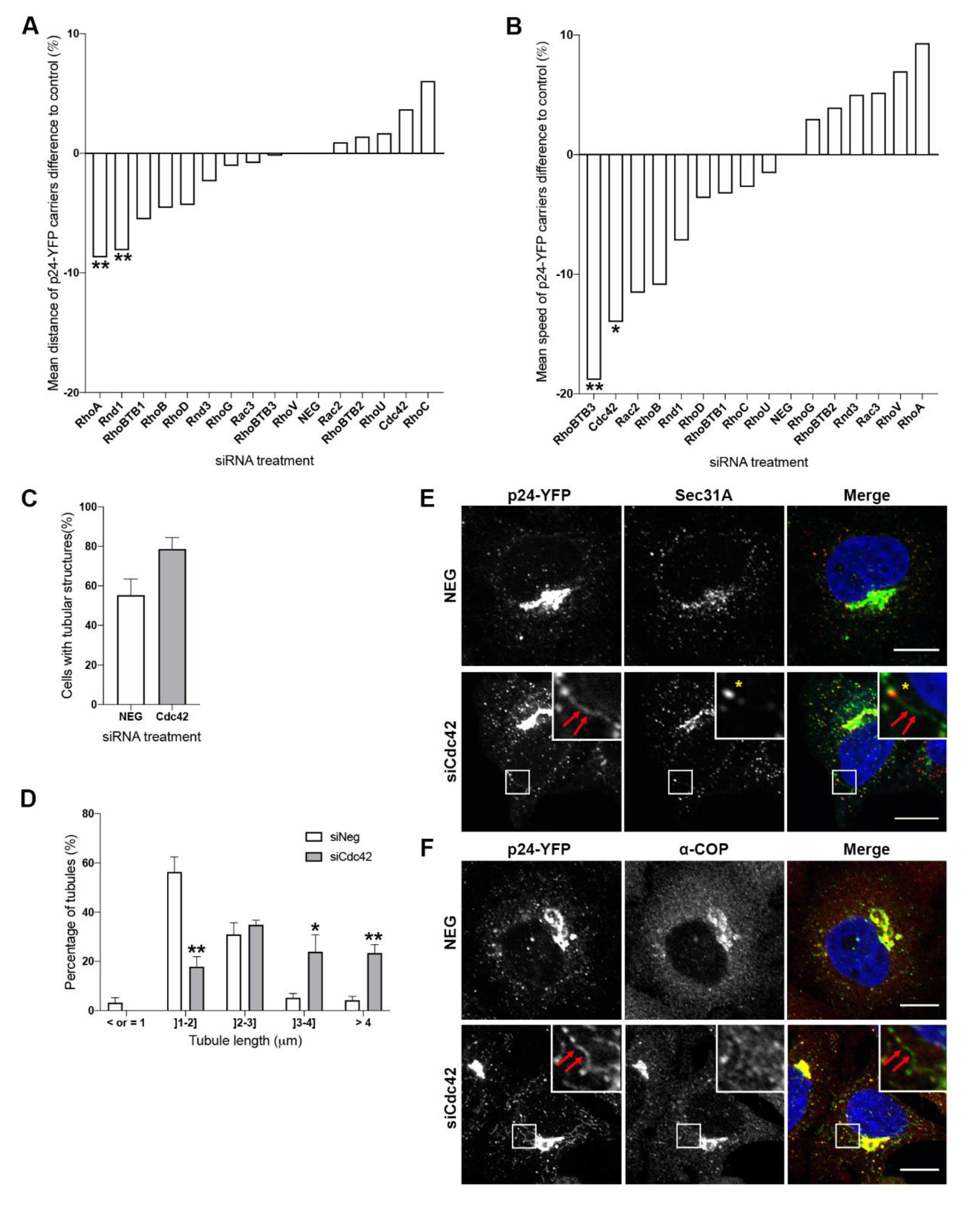 Cells 09 01089 g002