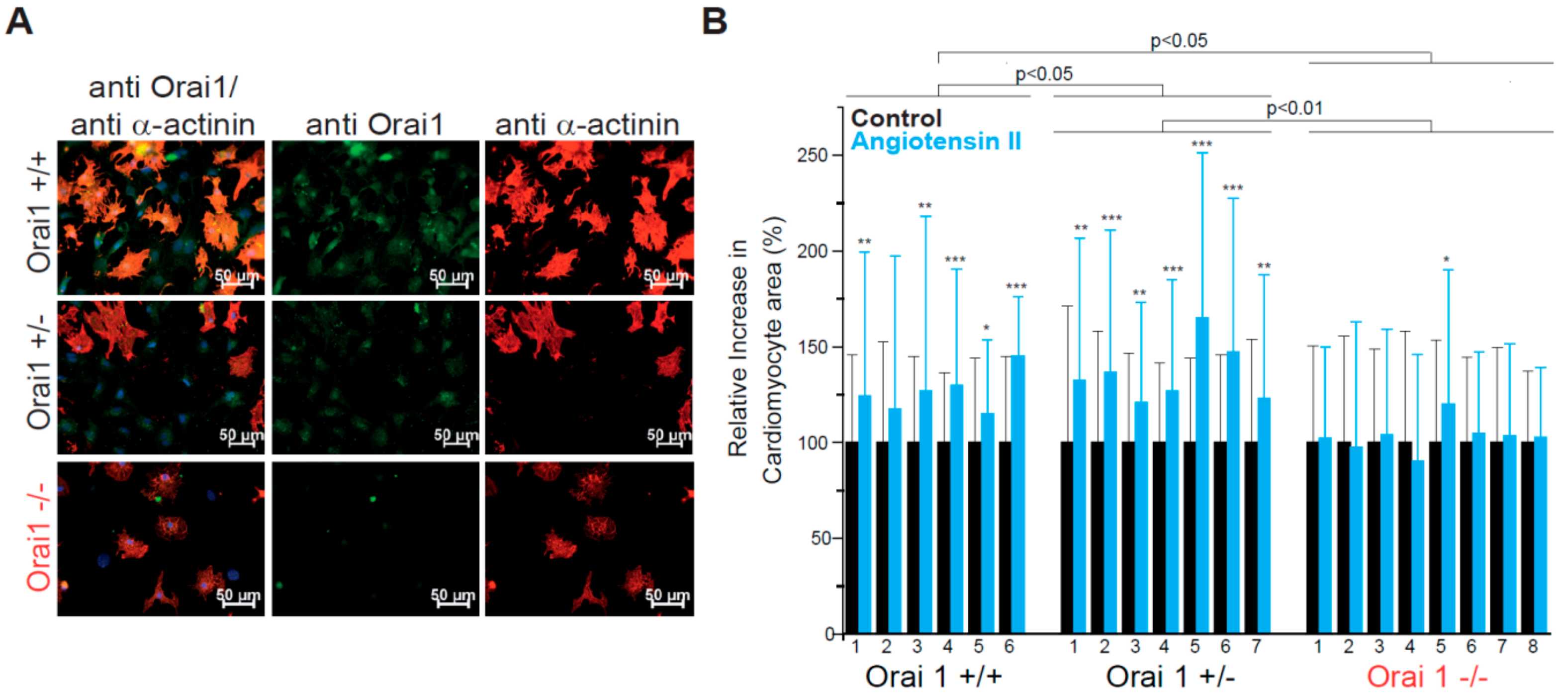 Cells 09 01092 g001 Cells 09 01092 g001
