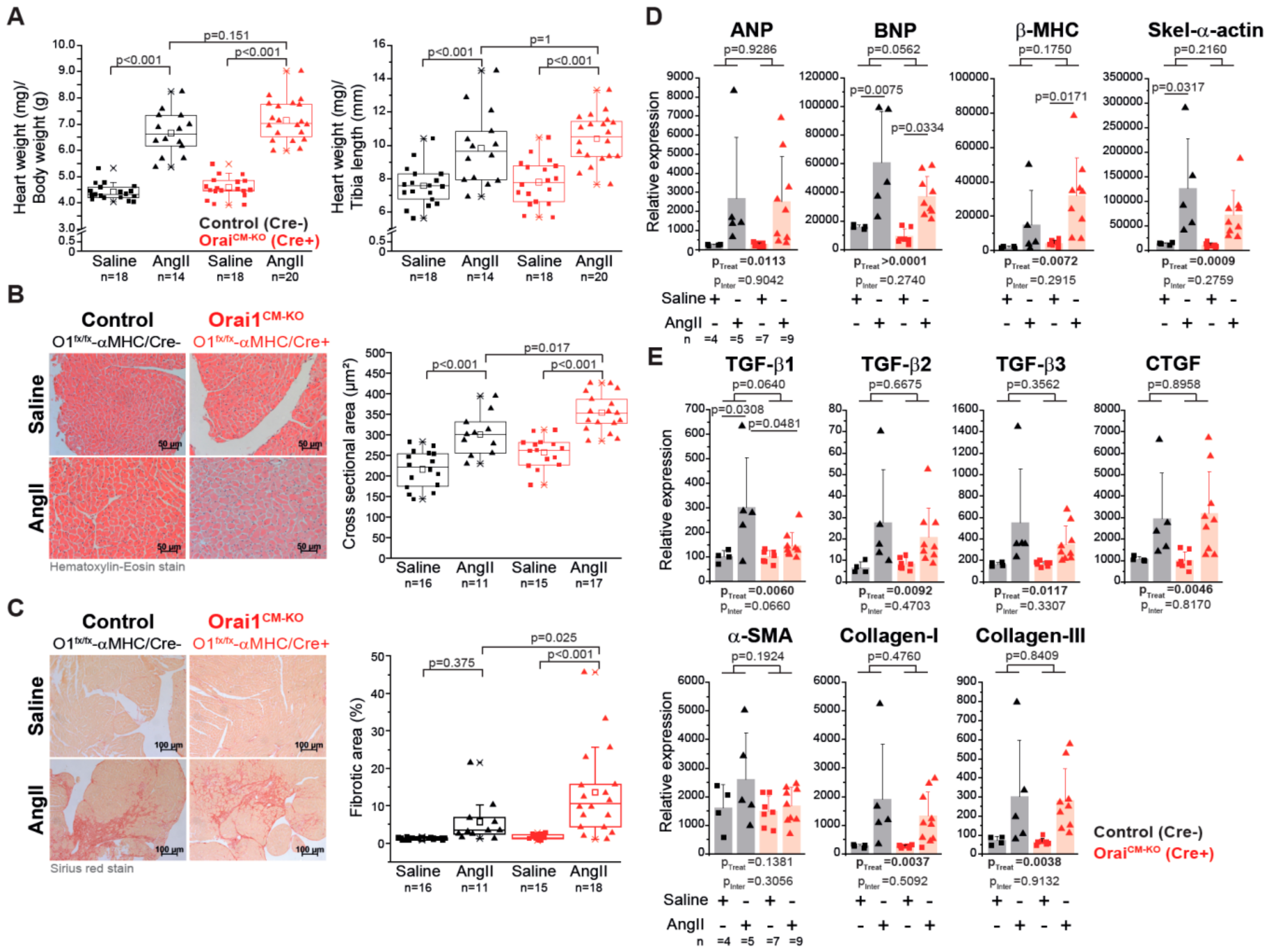 Cells 09 01092 g003 Cells 09 01092 g003