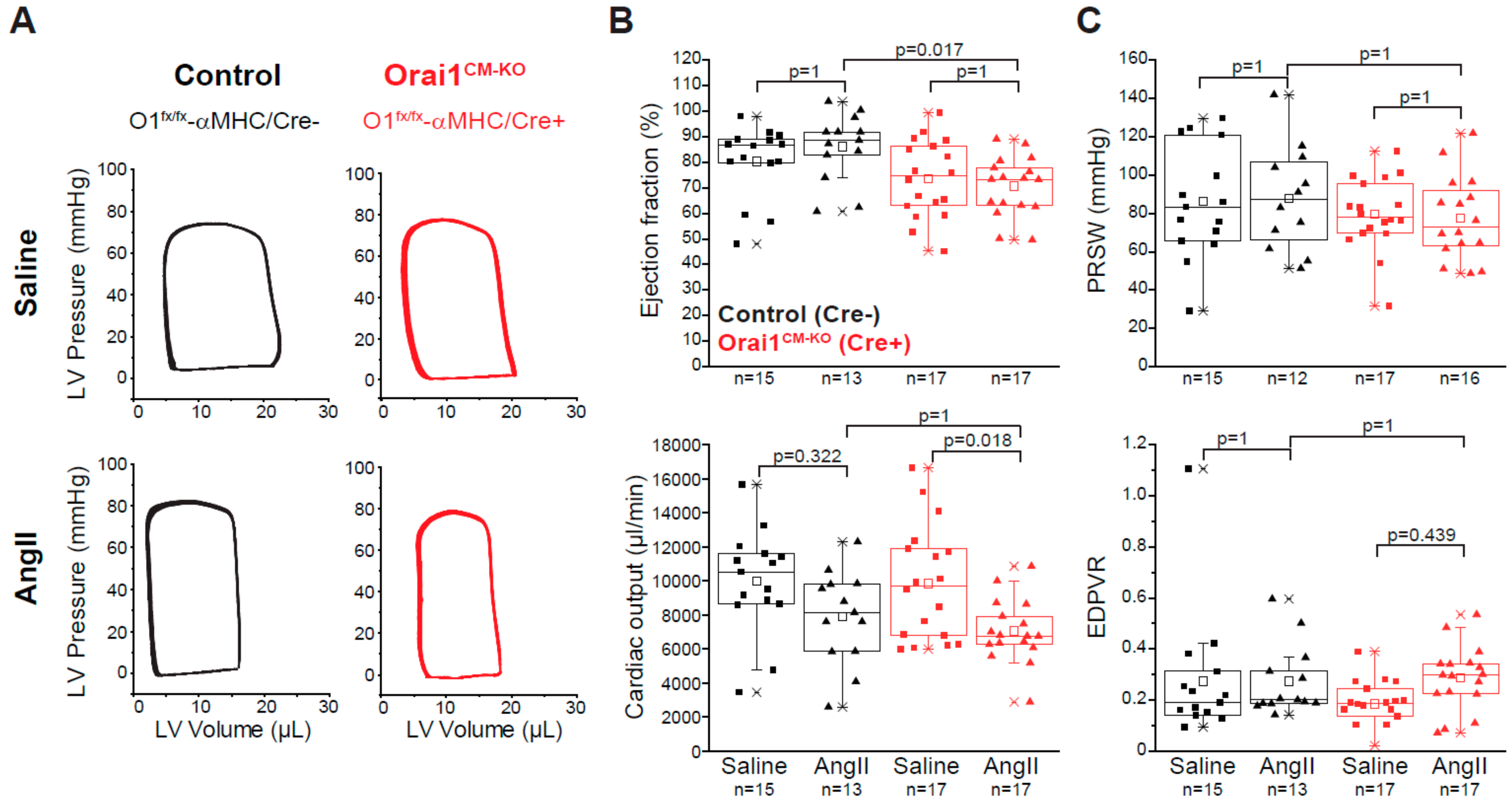 Cells 09 01092 g004 Cells 09 01092 g004