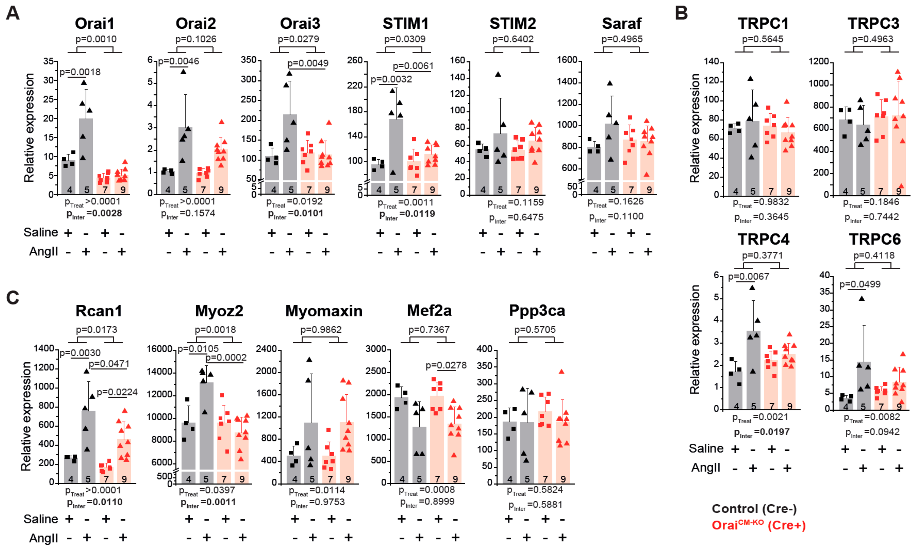 Cells 09 01092 g005 Cells 09 01092 g005