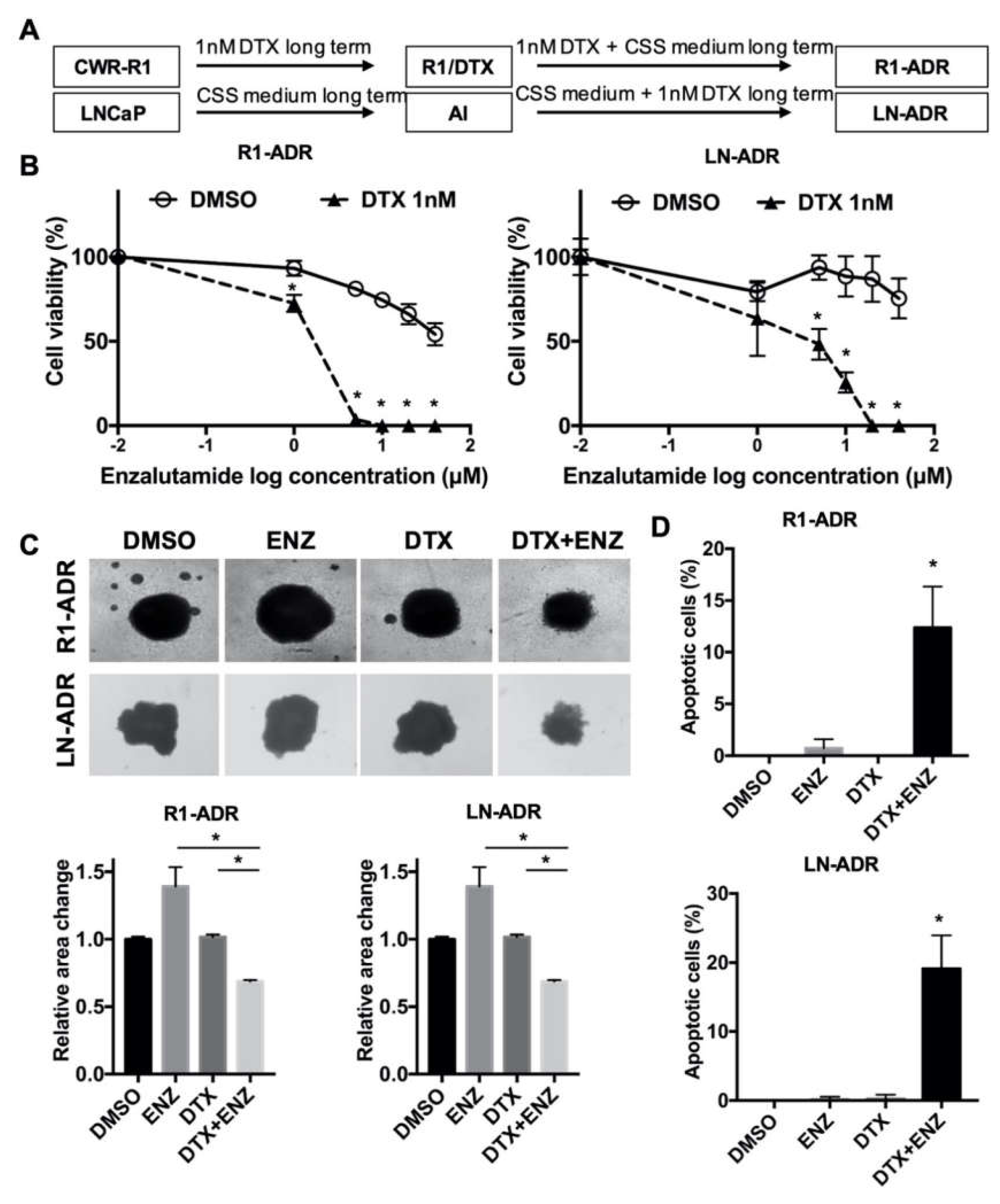 Cells 09 01094 g001 Cells 09 01094 g001