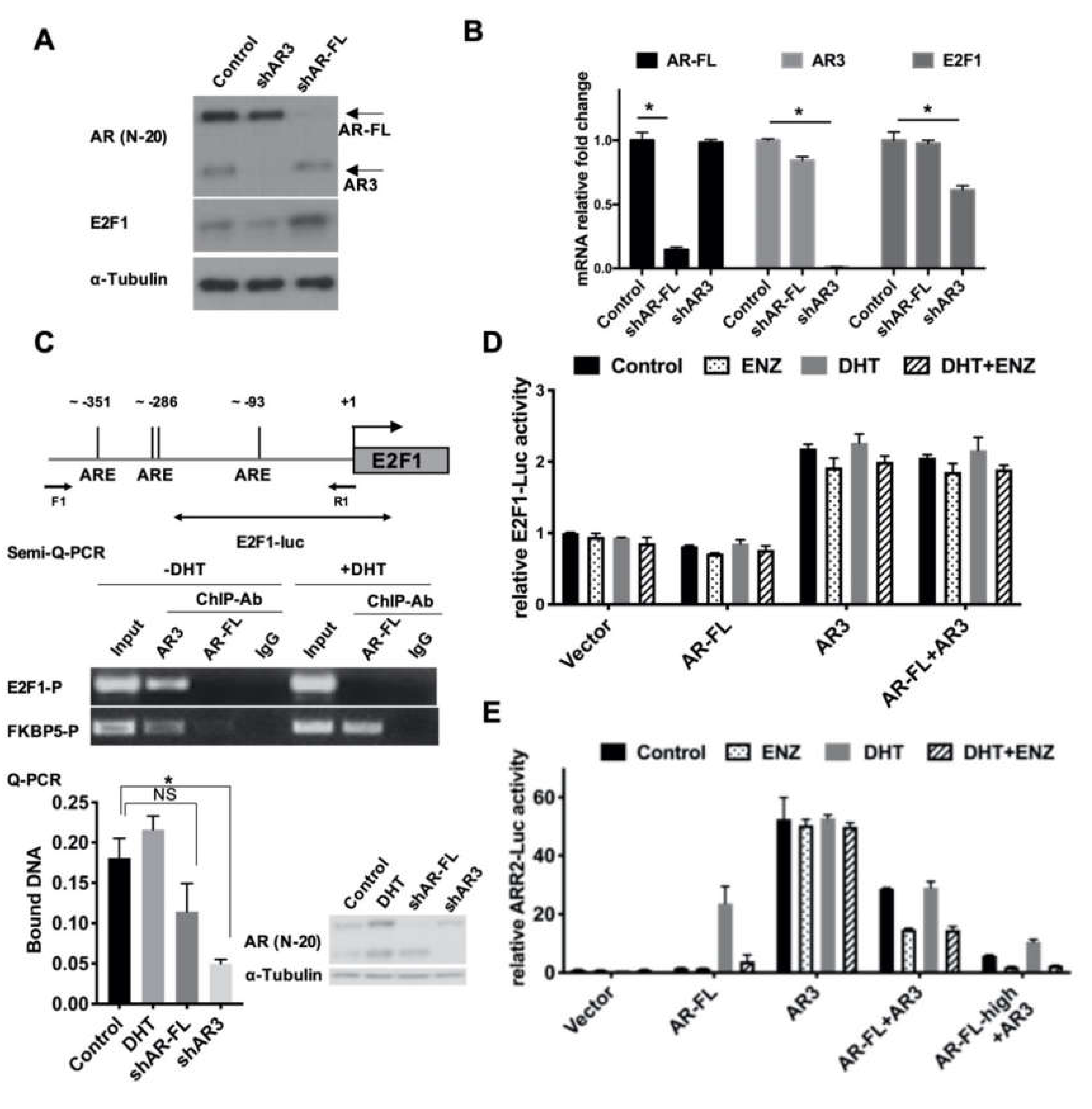 Cells 09 01094 g003 Cells 09 01094 g003