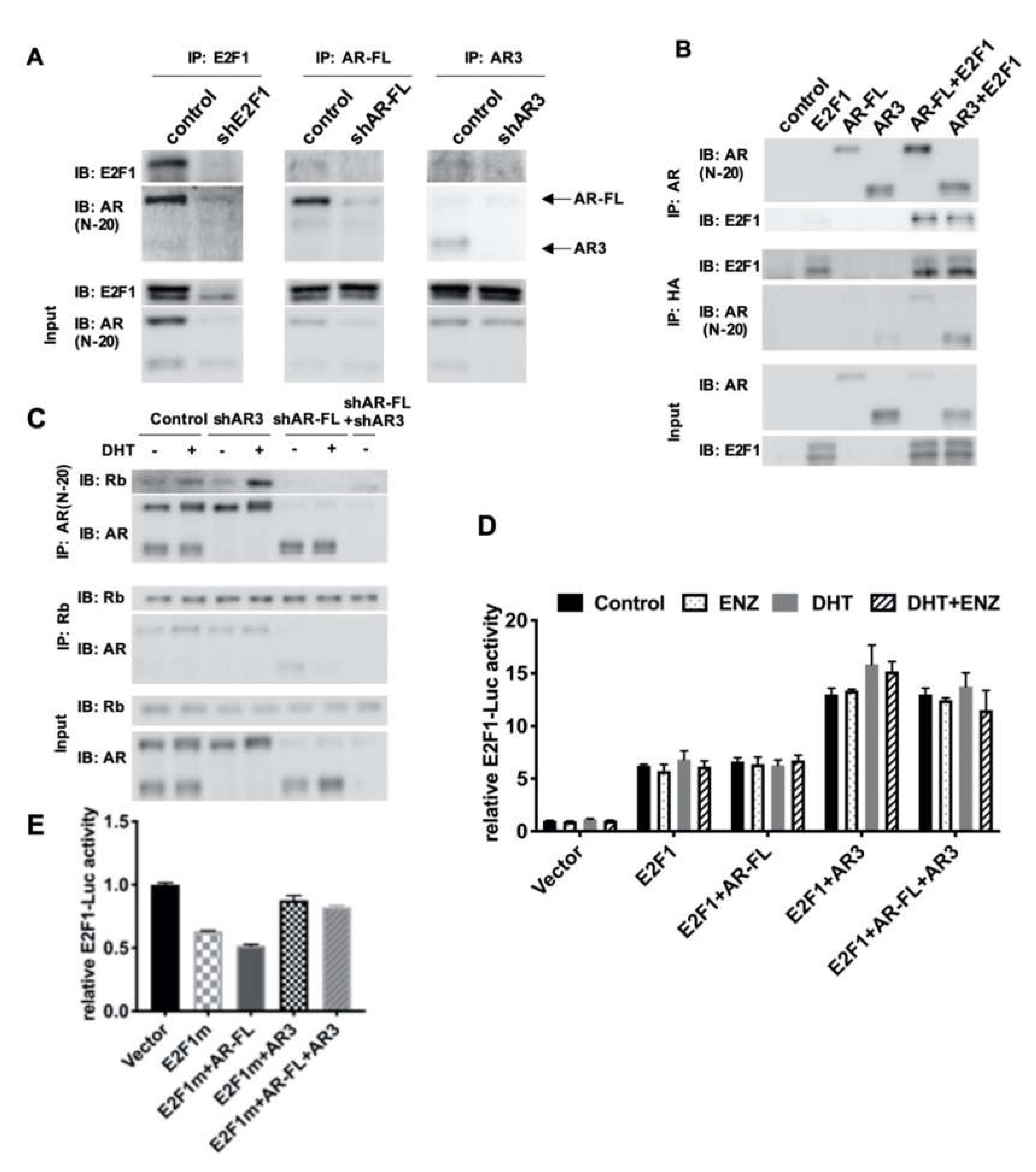 Cells 09 01094 g004 Cells 09 01094 g004