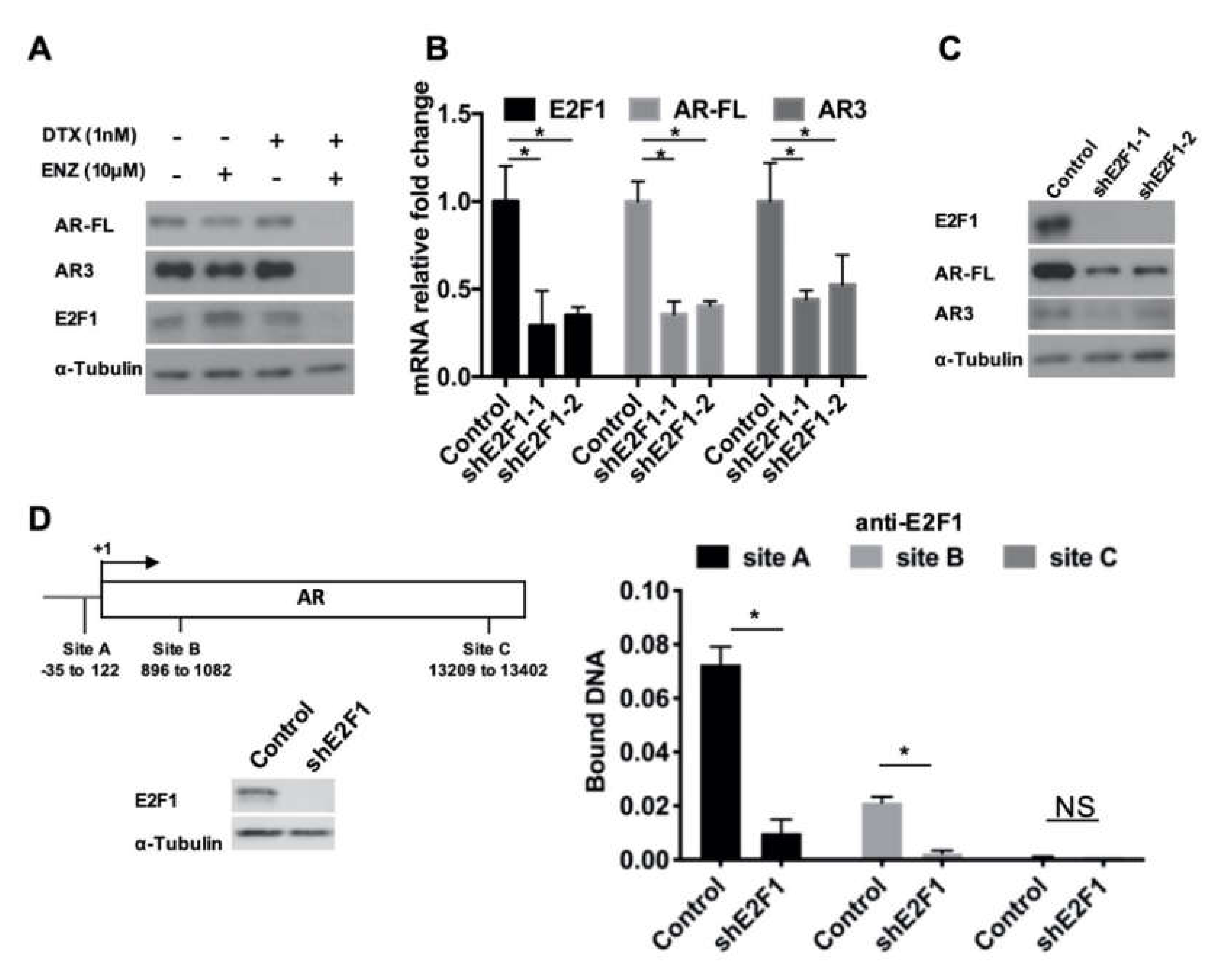 Cells 09 01094 g005 Cells 09 01094 g005