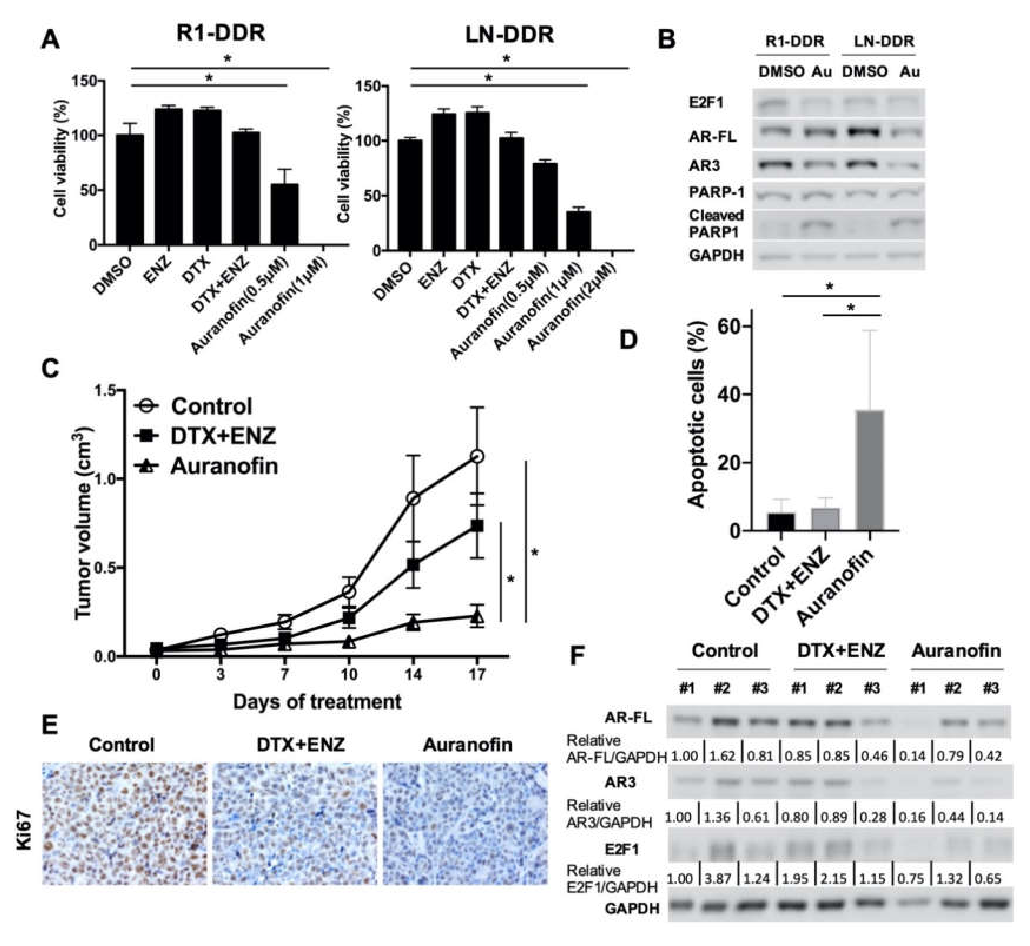Cells 09 01094 g007 Cells 09 01094 g007