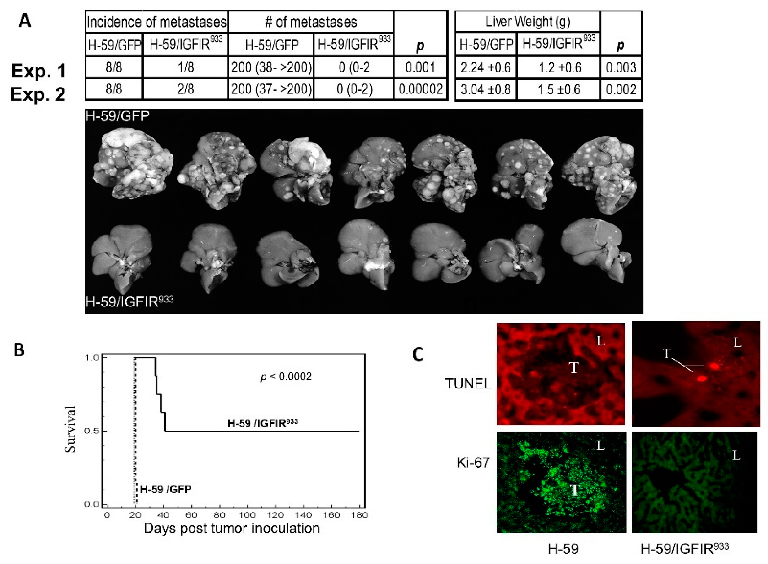 Cells 09 01098 g001 Cells 09 01098 g001