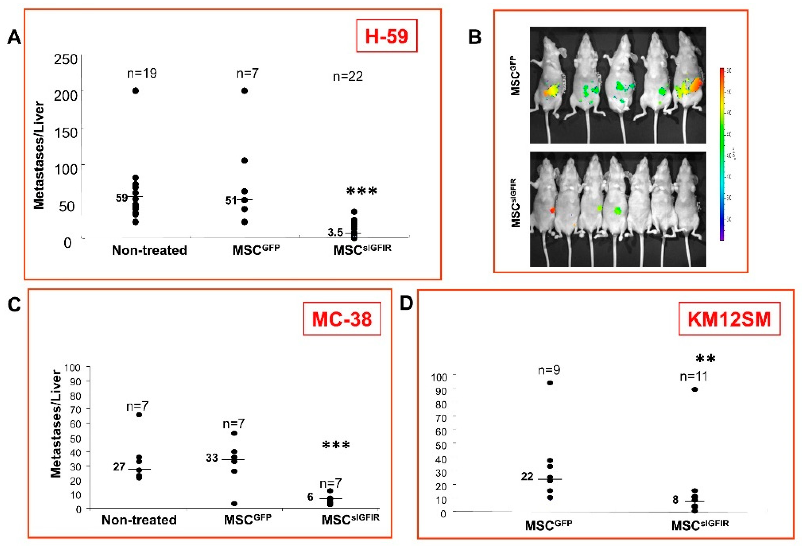 Cells 09 01098 g002 Cells 09 01098 g002