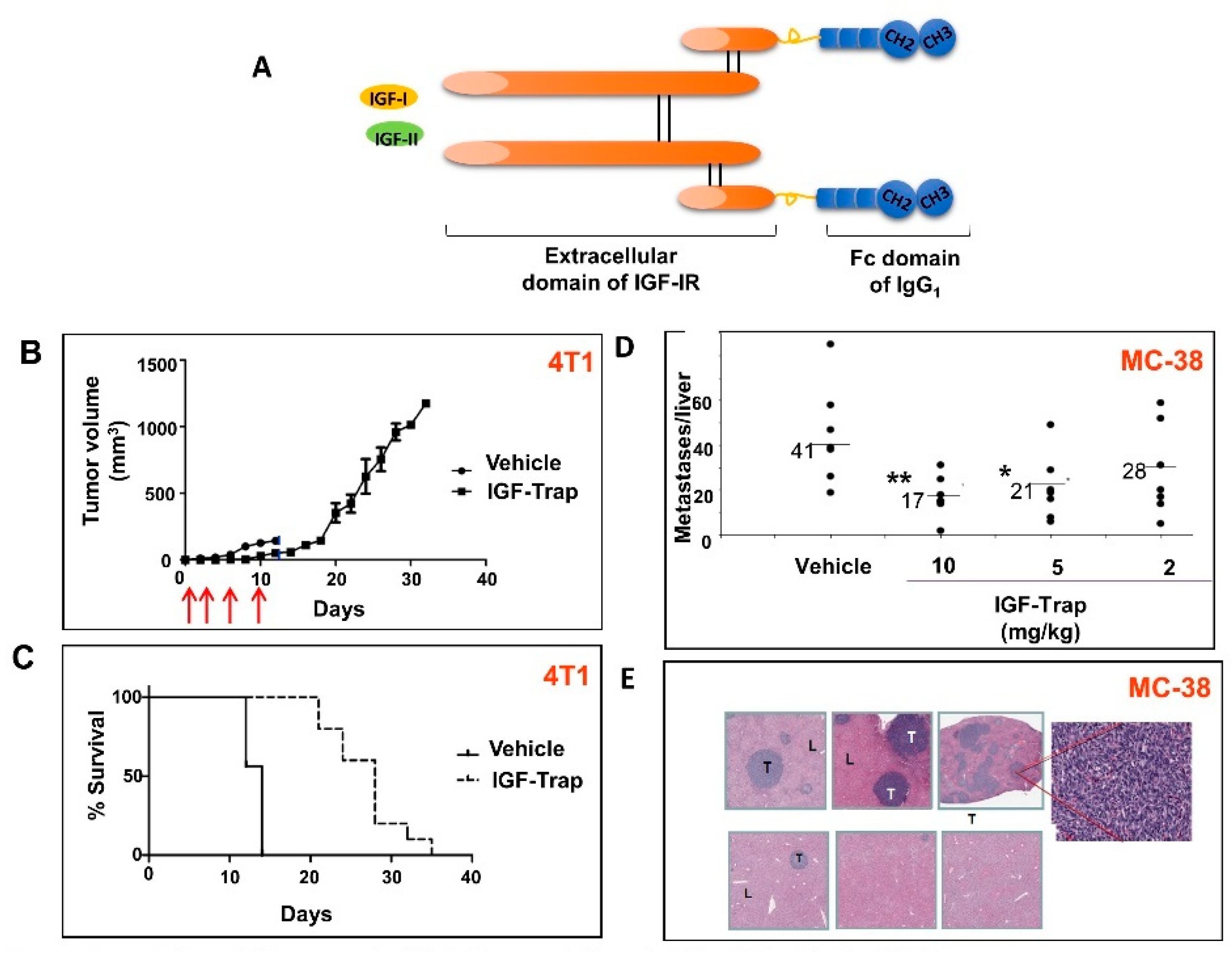 Cells 09 01098 g003 Cells 09 01098 g003