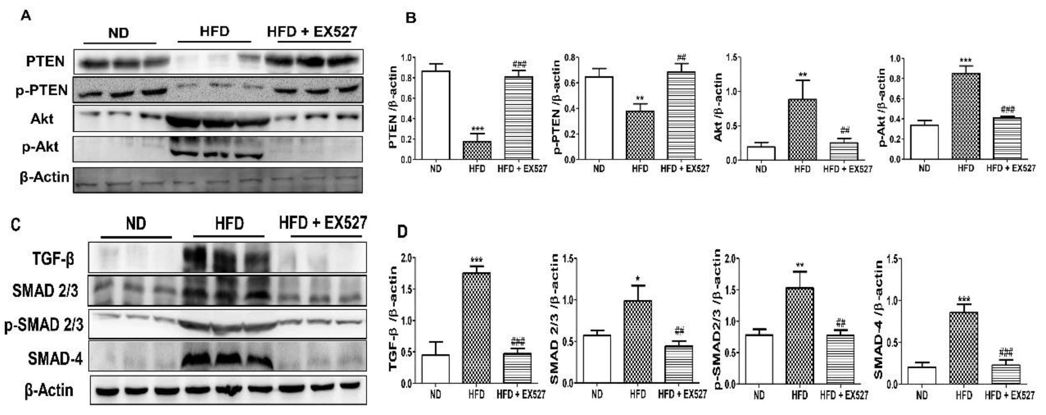 Cells 09 01101 g009a